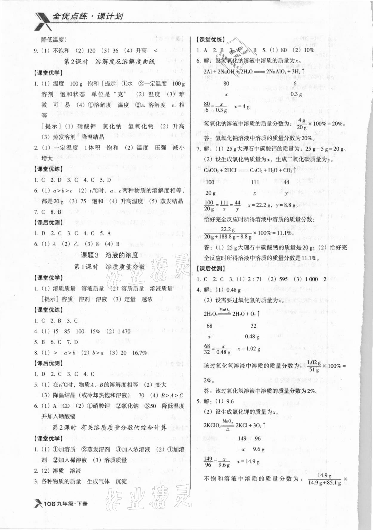 2021年全優(yōu)點練課計劃九年級化學下冊人教版 第4頁