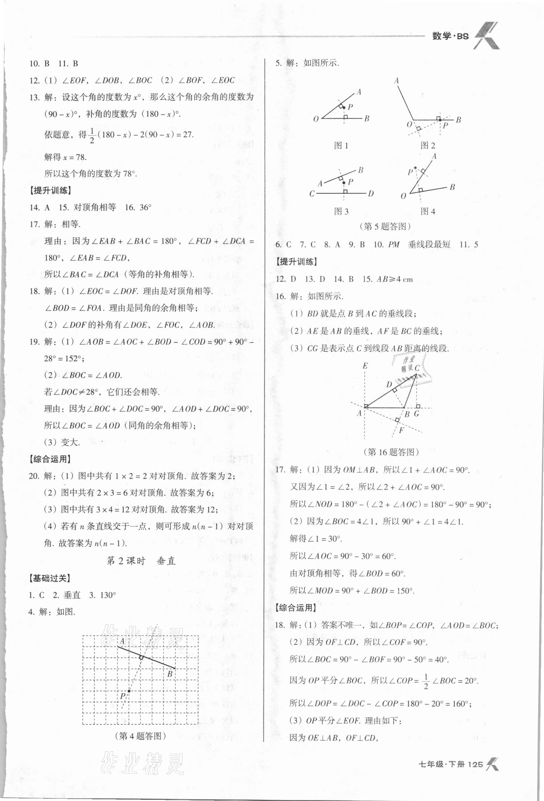 2021年全优点练课计划七年级数学下册北师大版 第7页