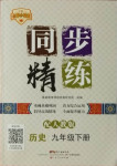 2021年同步精練九年級(jí)歷史下冊(cè)人教版廣東人民出版社