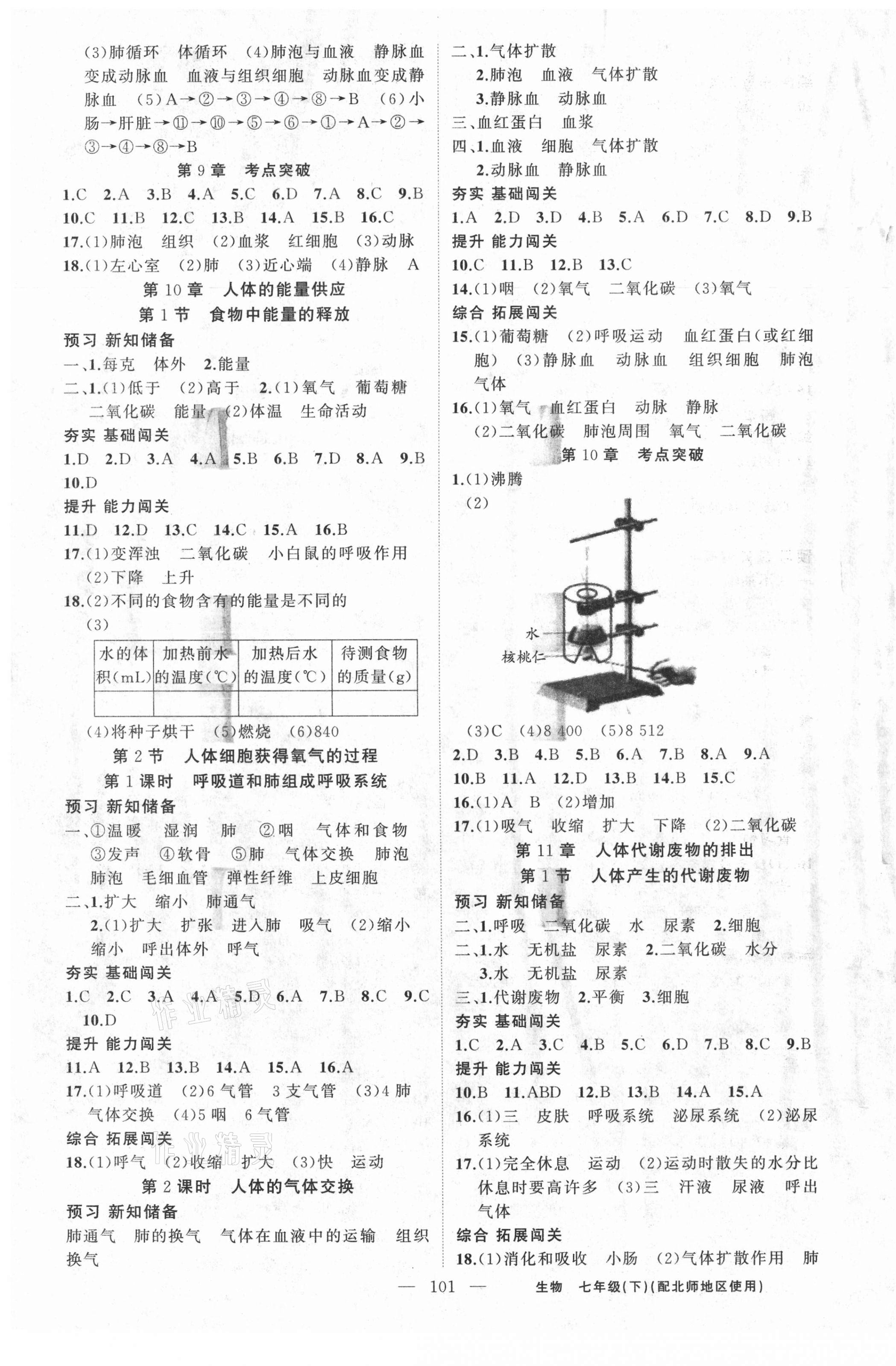 2021年黃岡100分闖關(guān)七年級(jí)生物下冊(cè)北師大版 第3頁