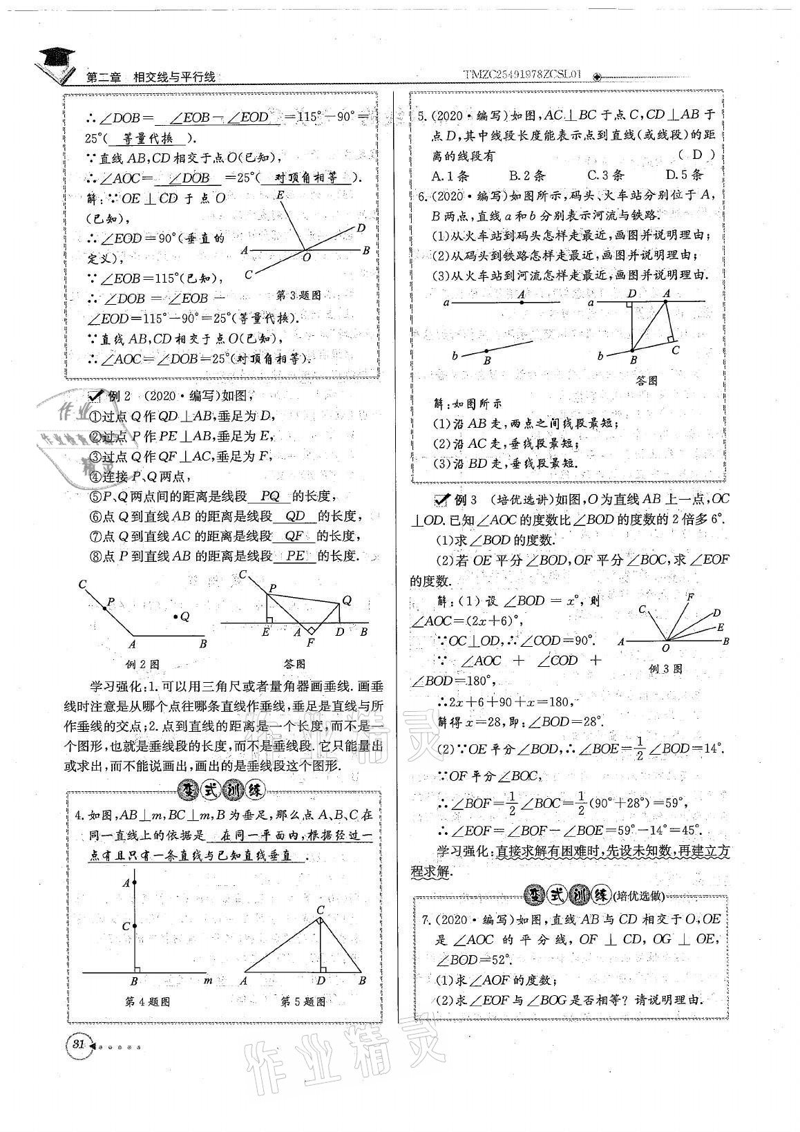 2021年初中数学每日核心导学七年级下册北师大版 参考答案第31页