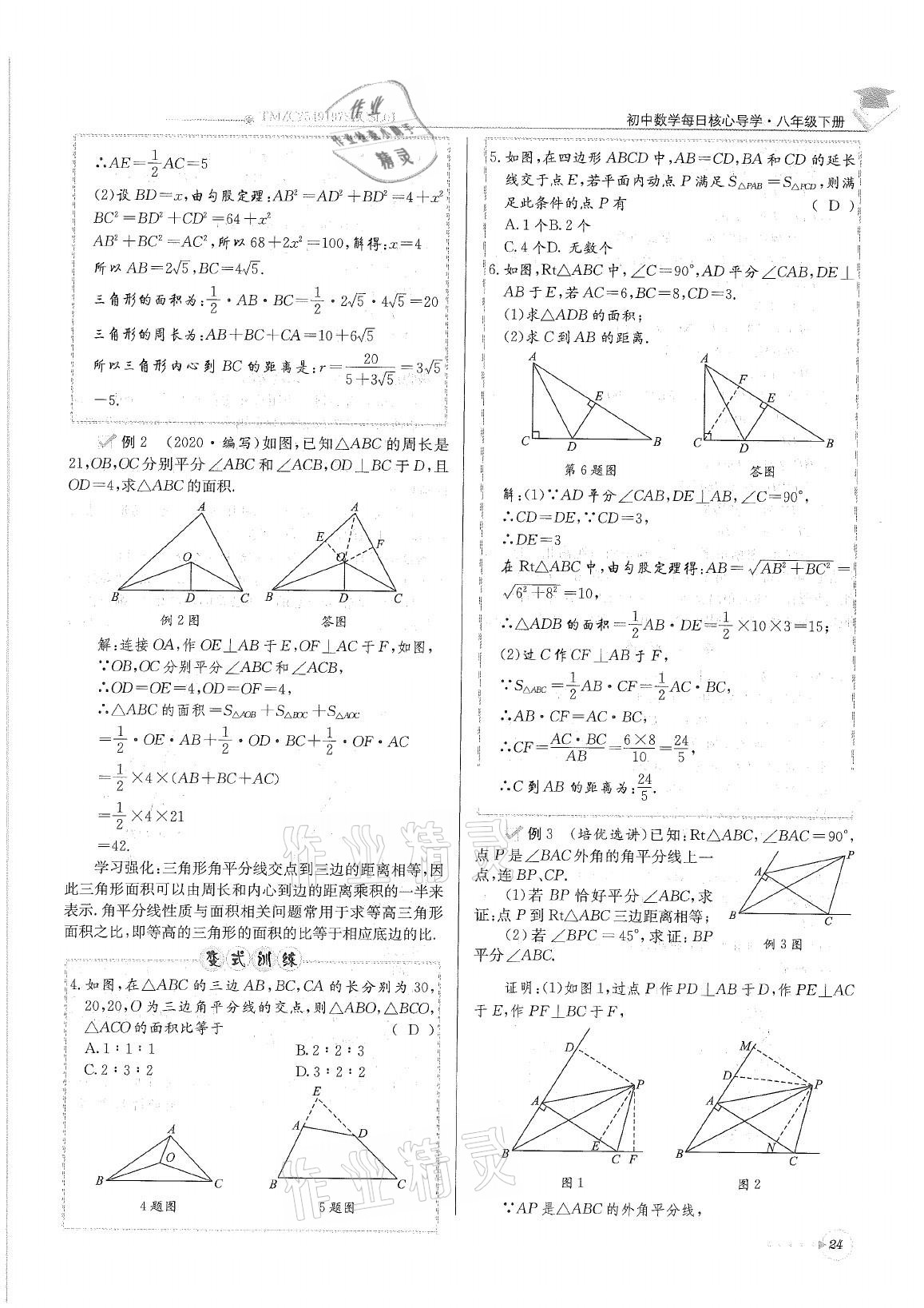 2021年初中数学每日核心导学八年级下册北师大版 参考答案第24页