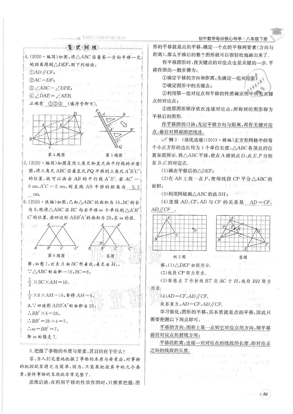 2021年初中数学每日核心导学八年级下册北师大版 参考答案第56页