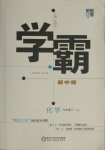 2021年經(jīng)綸學(xué)典學(xué)霸九年級化學(xué)下冊魯教版