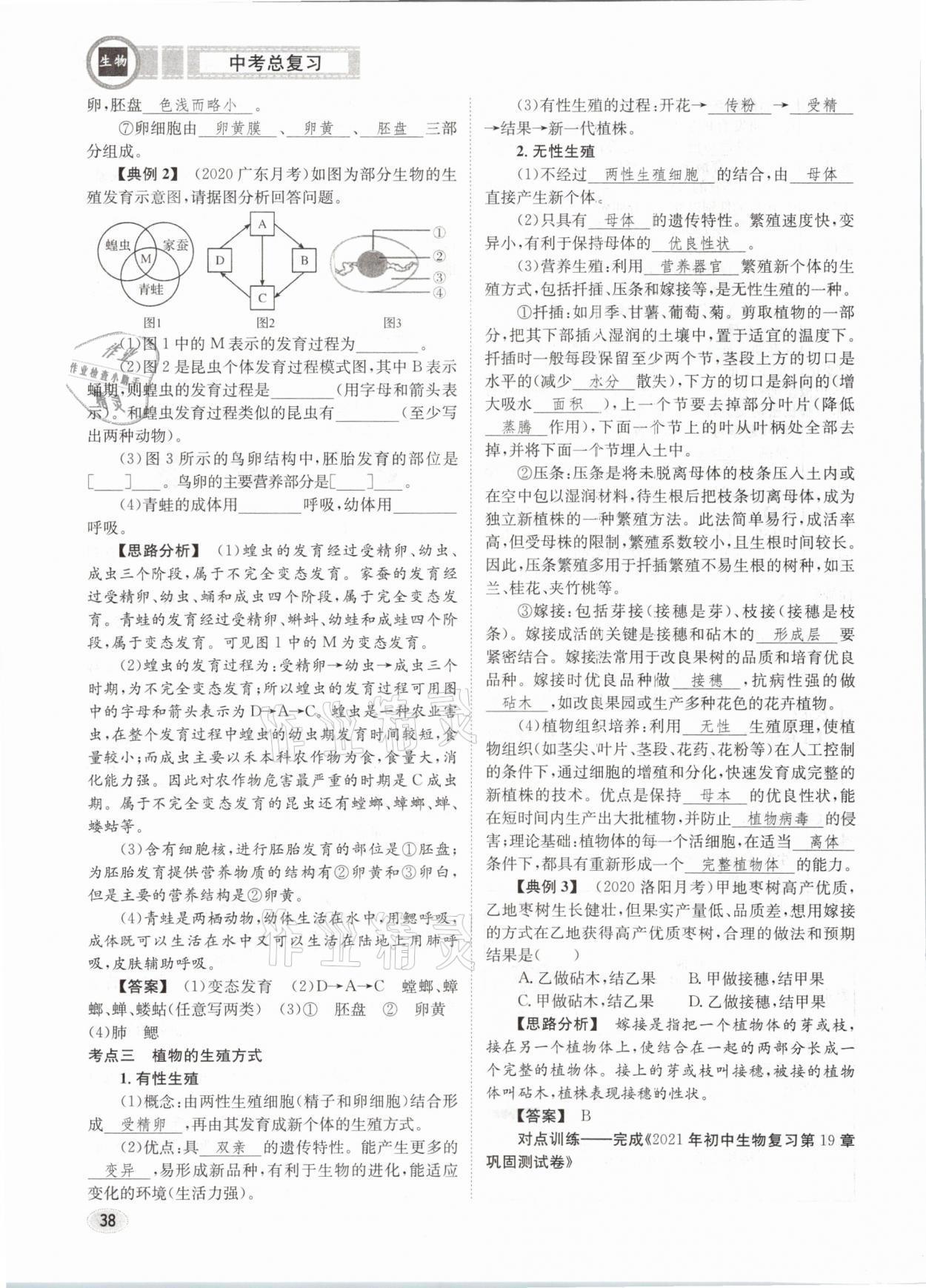 2021年中考總復(fù)習(xí)生物長(zhǎng)江出版社 第38頁(yè)