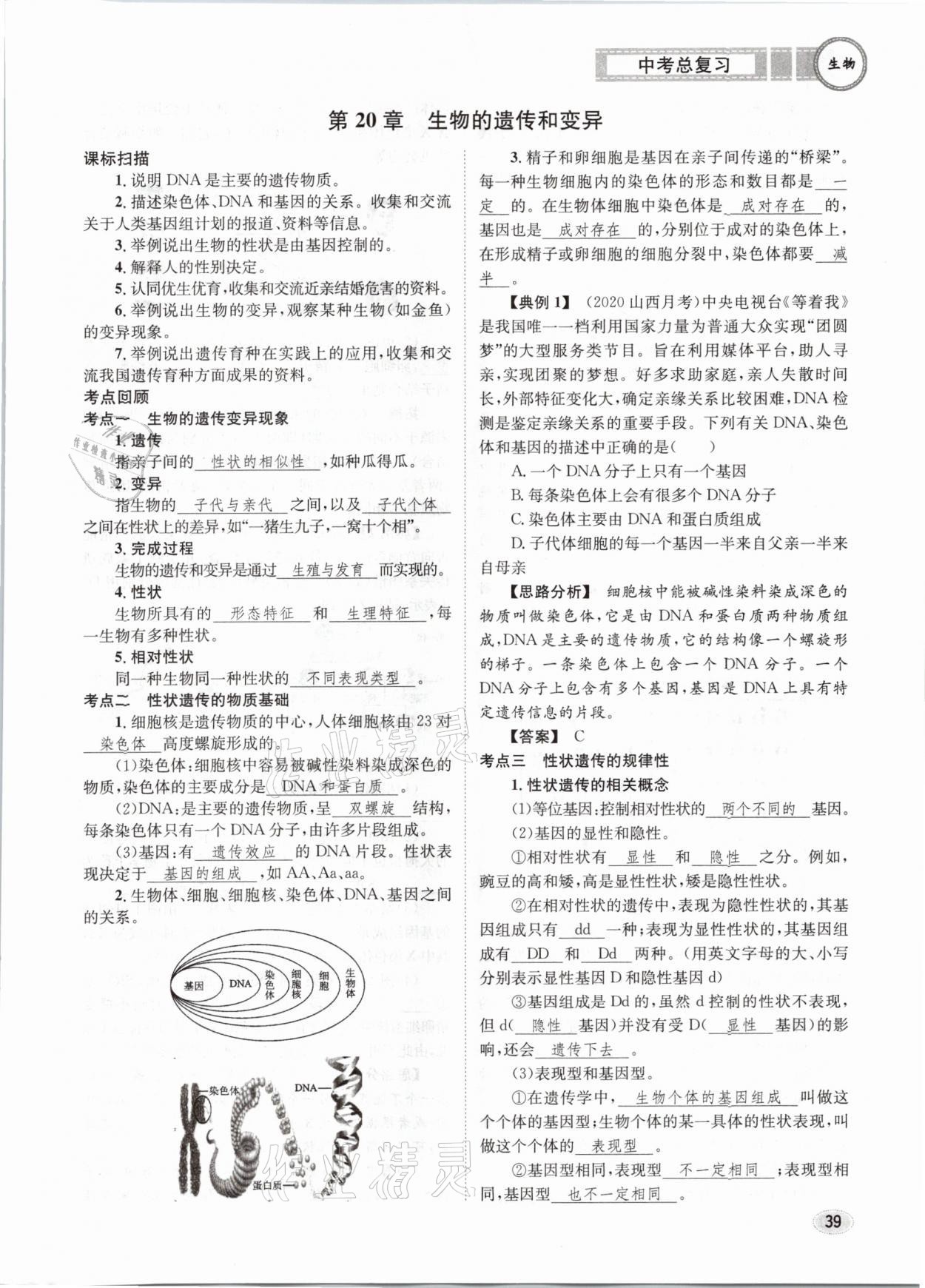 2021年中考總復(fù)習(xí)生物長江出版社 第39頁