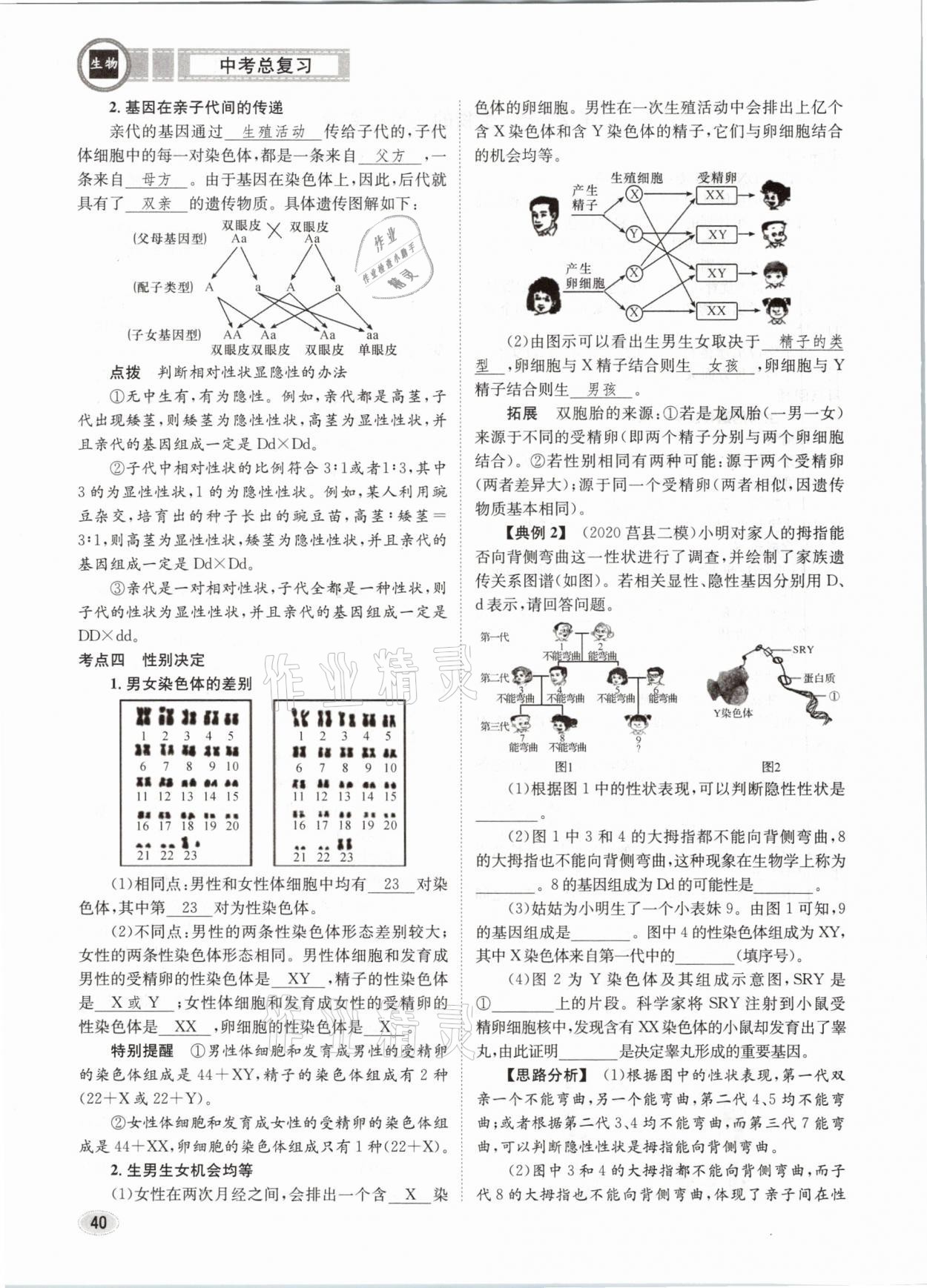 2021年中考總復(fù)習(xí)生物長(zhǎng)江出版社 第40頁