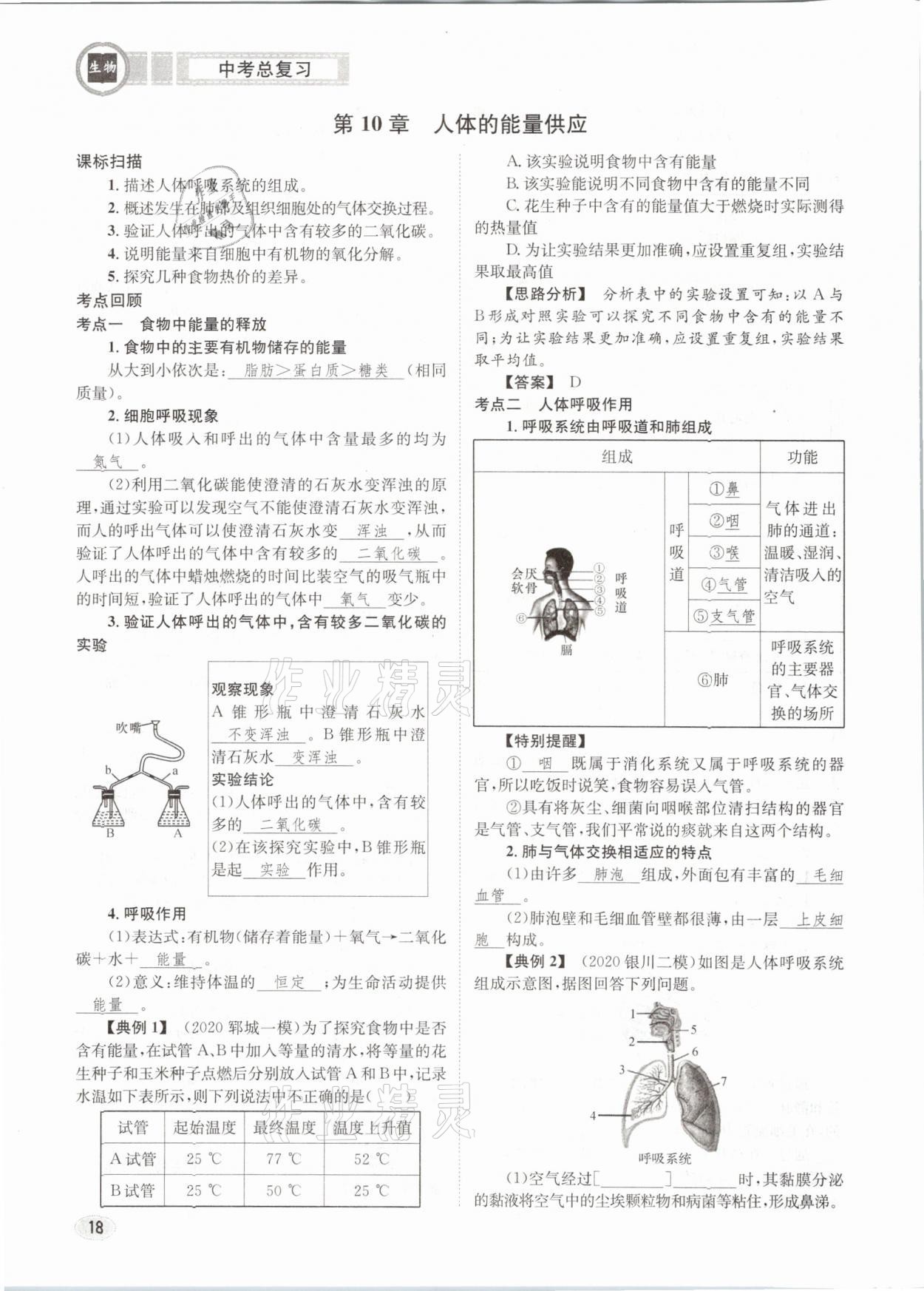 2021年中考總復(fù)習(xí)生物長江出版社 第18頁