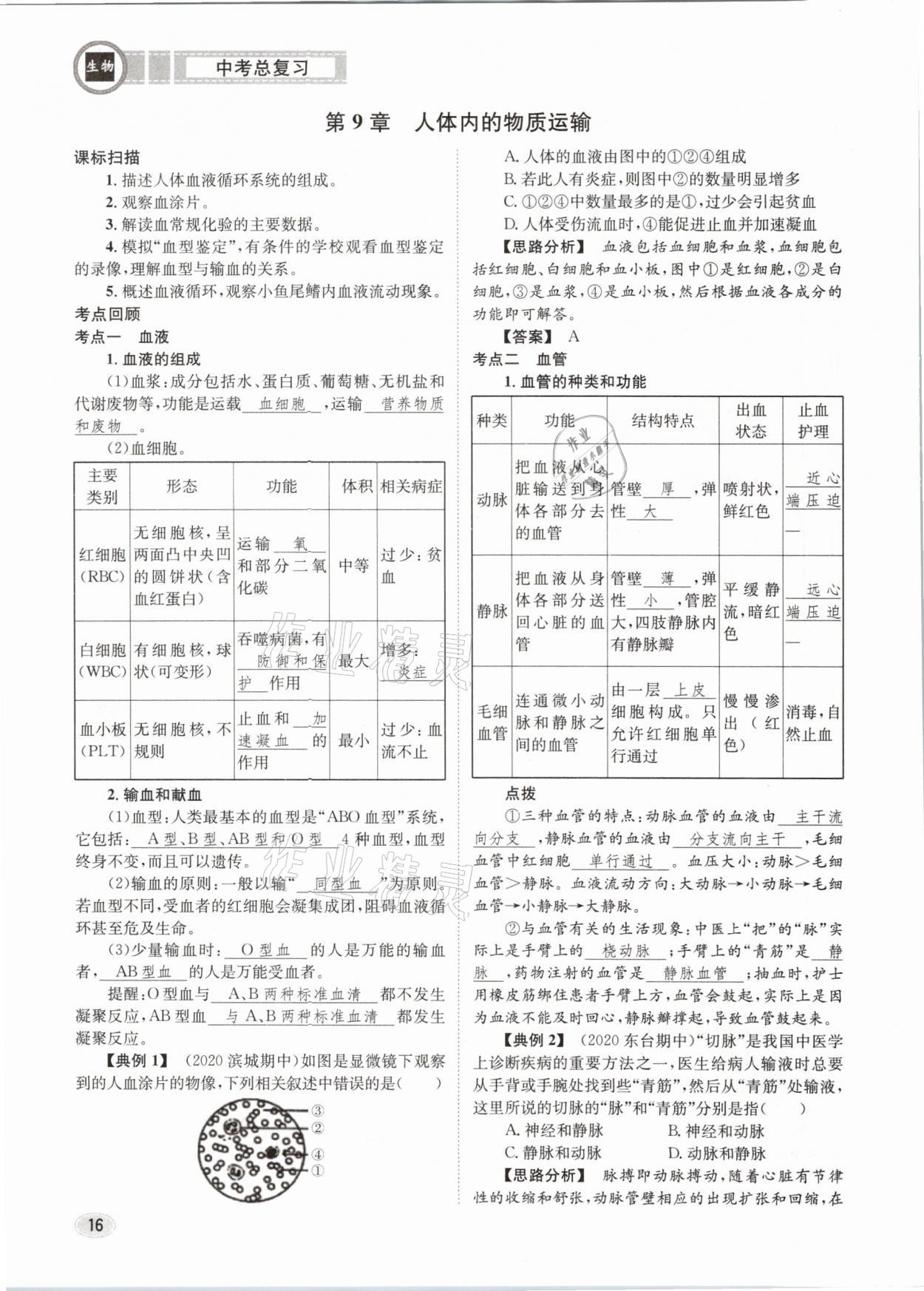 2021年中考總復習生物長江出版社 第16頁