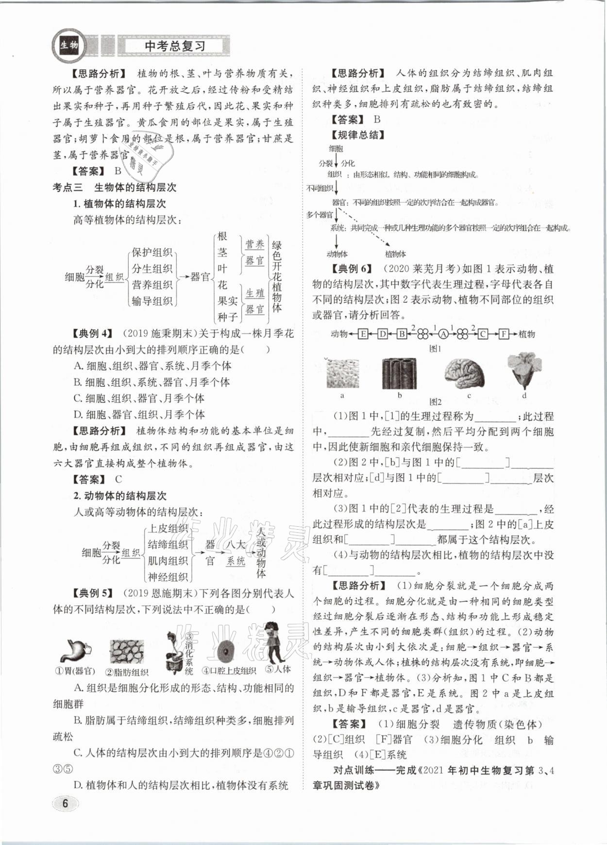 2021年中考總復(fù)習(xí)生物長江出版社 第6頁