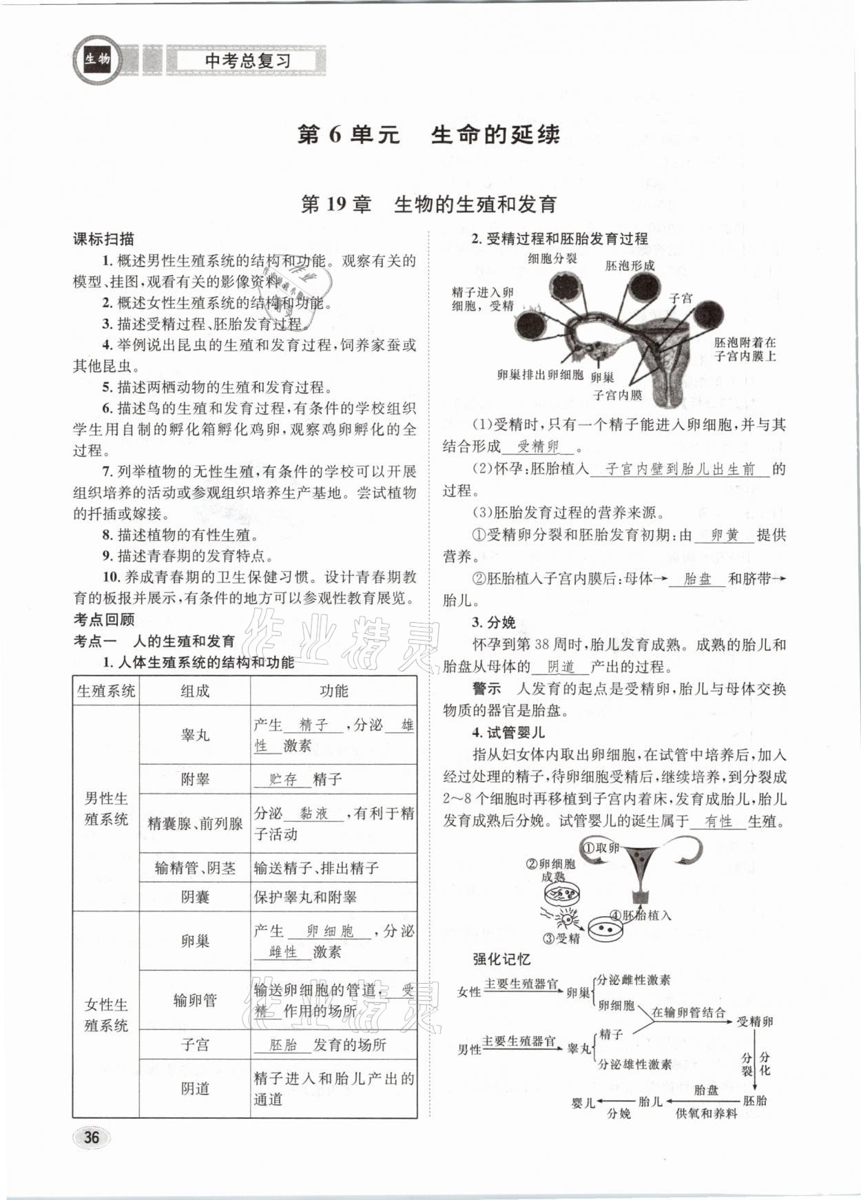 2021年中考總復(fù)習(xí)生物長(zhǎng)江出版社 第36頁(yè)