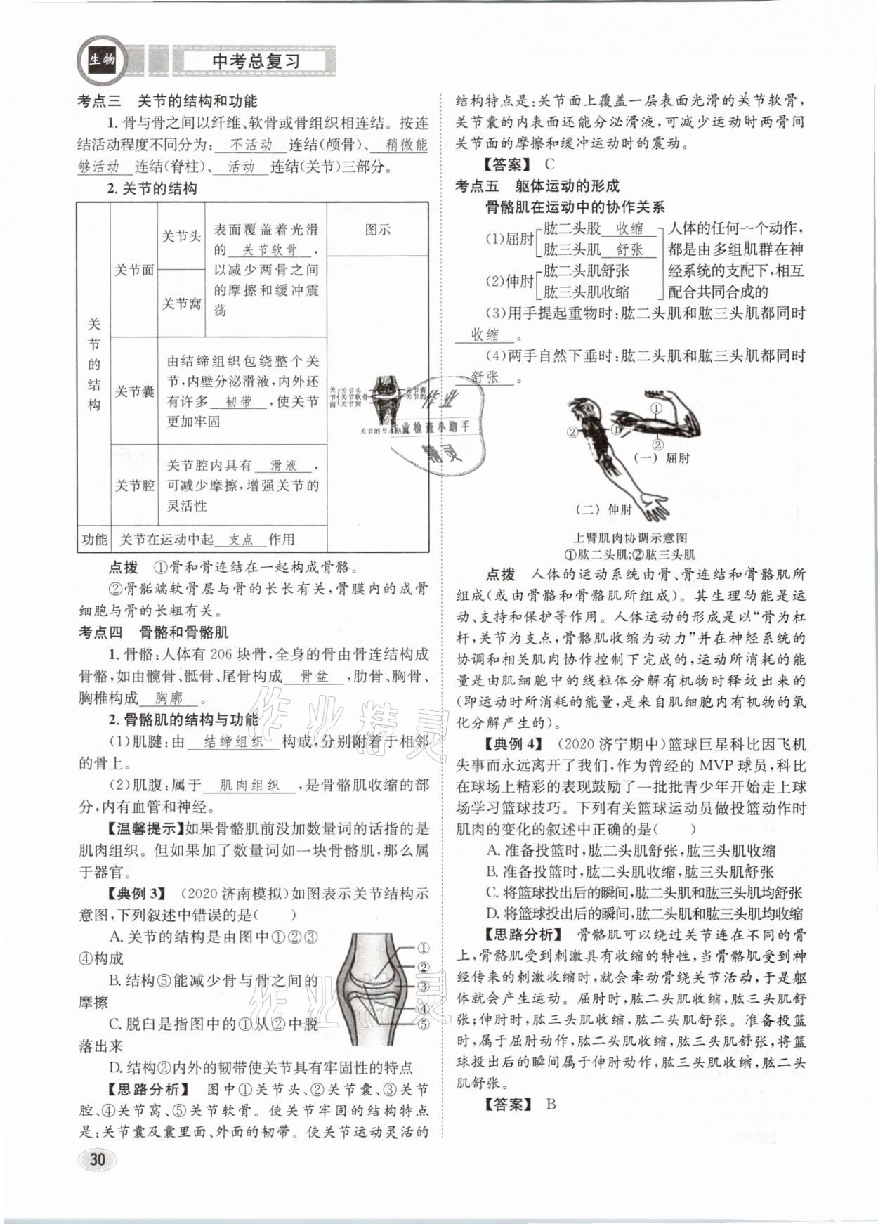 2021年中考總復(fù)習(xí)生物長(zhǎng)江出版社 第30頁(yè)