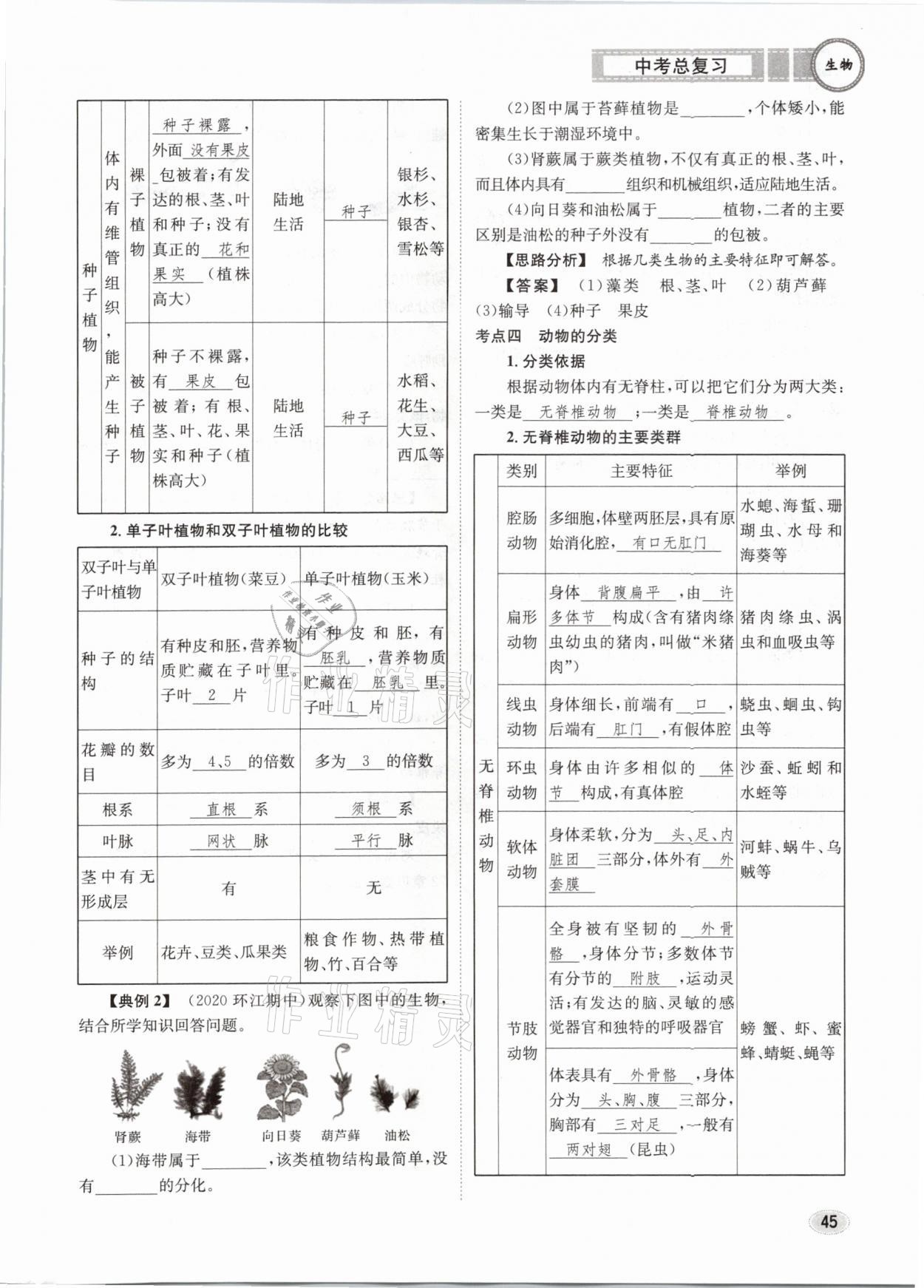 2021年中考總復習生物長江出版社 第45頁