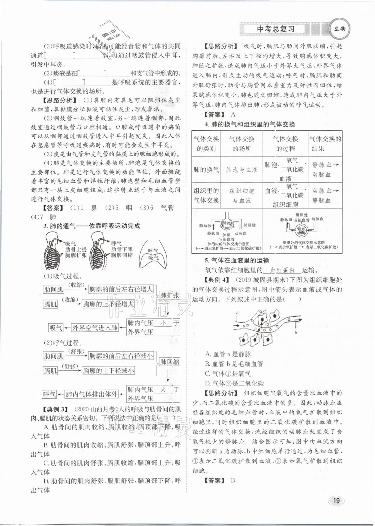 2021年中考總復(fù)習(xí)生物長(zhǎng)江出版社 第19頁(yè)