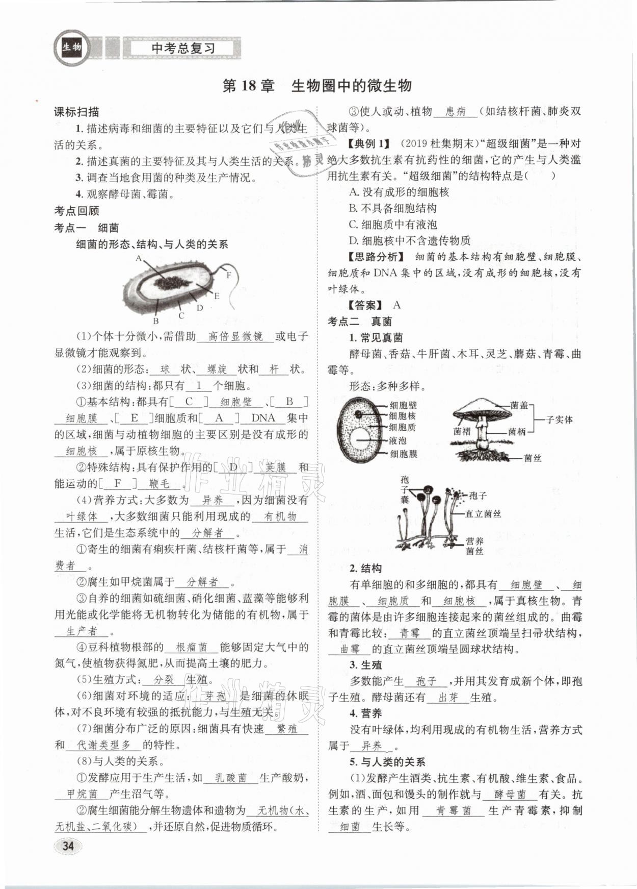 2021年中考總復(fù)習(xí)生物長江出版社 第34頁