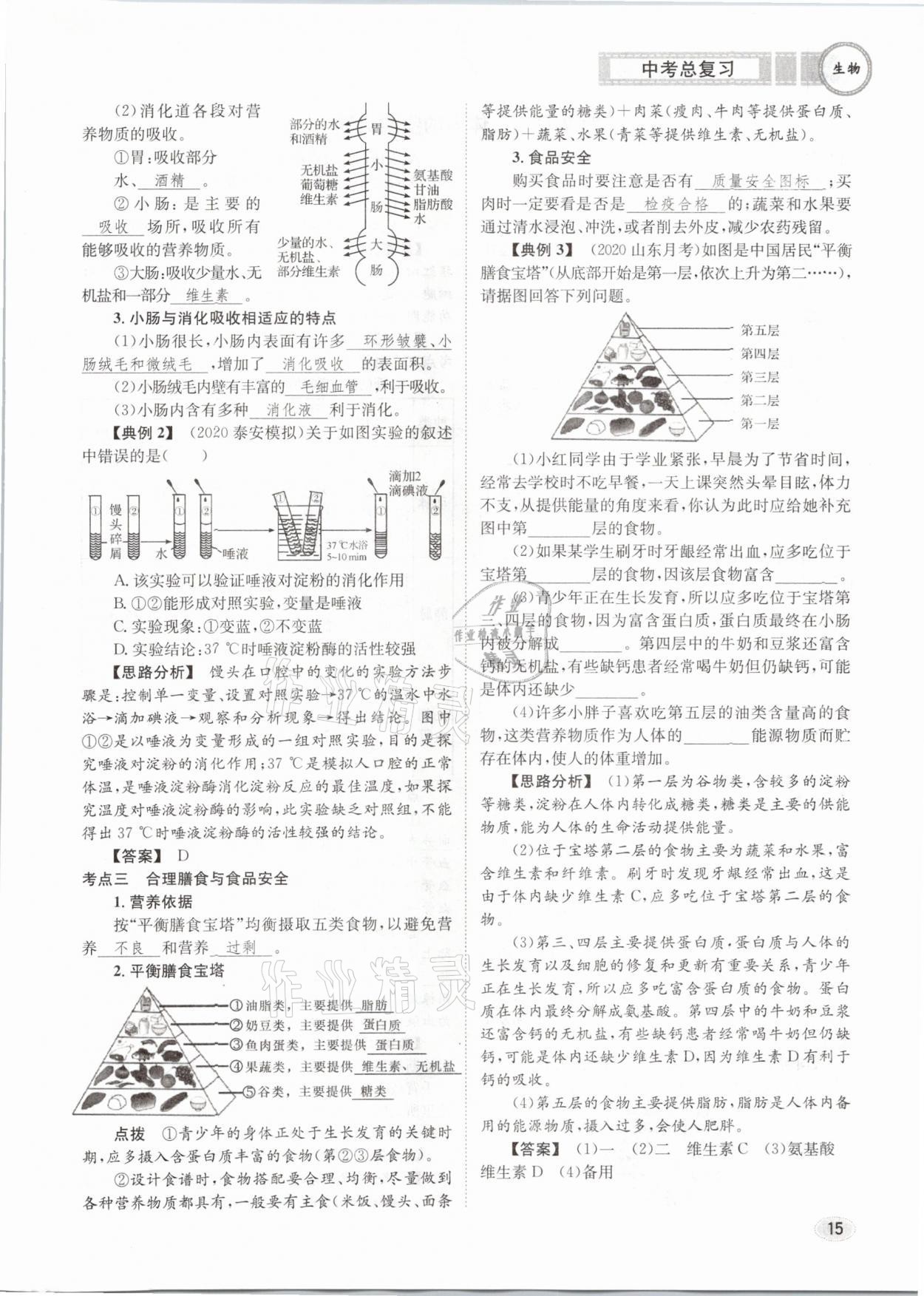 2021年中考總復習生物長江出版社 第15頁