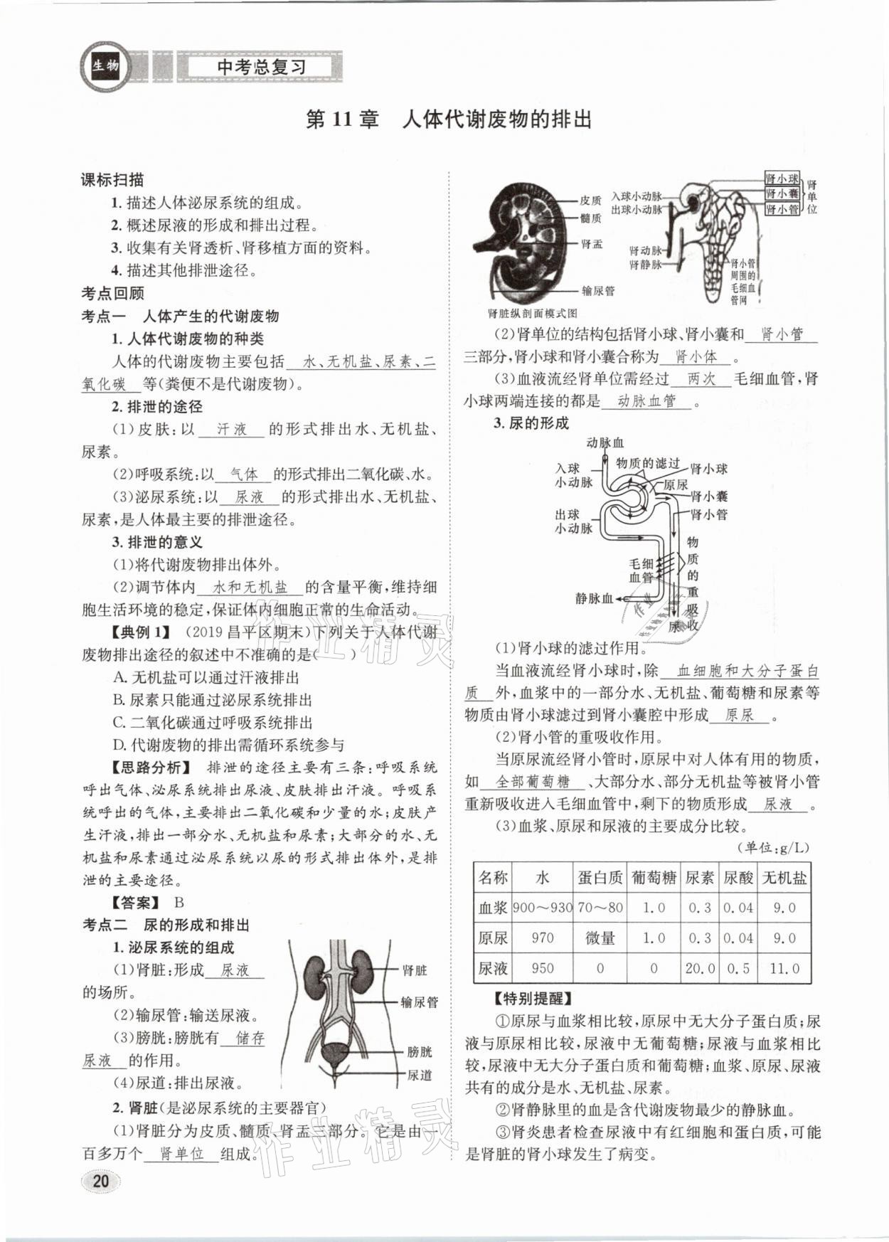 2021年中考總復(fù)習(xí)生物長江出版社 第20頁