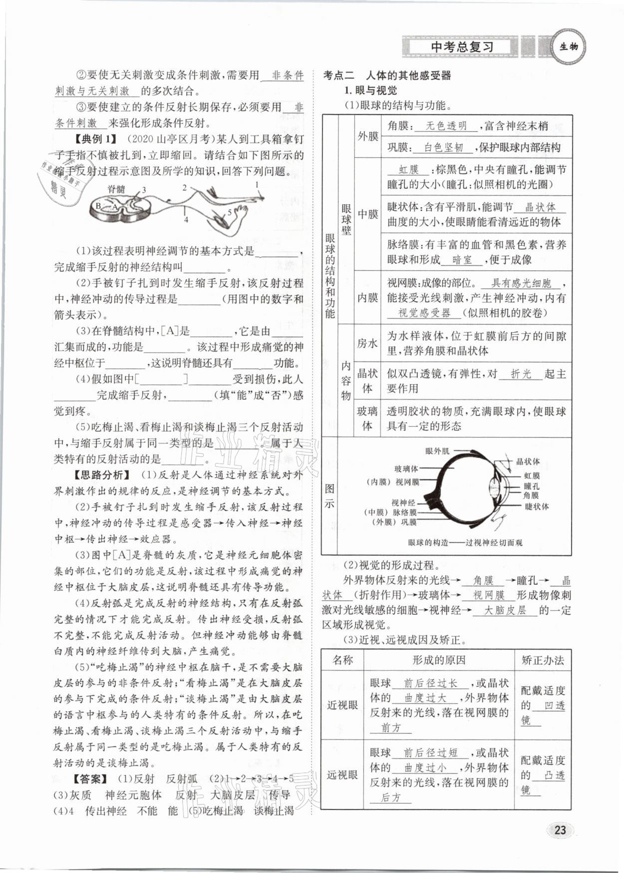 2021年中考總復(fù)習(xí)生物長江出版社 第23頁