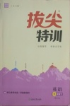 2021年拔尖特訓九年級英語下冊譯林版