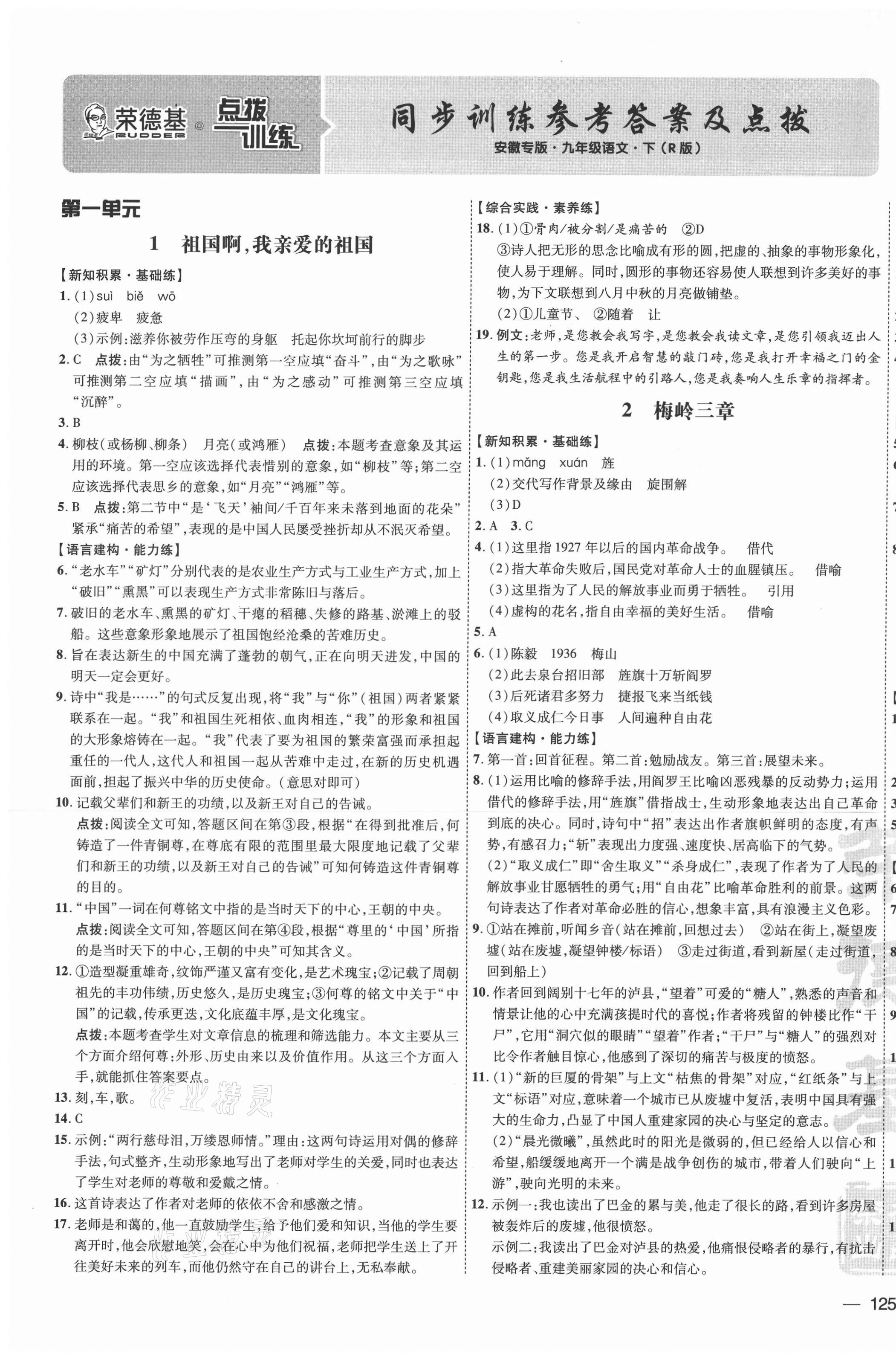 2021年點撥訓(xùn)練九年級語文下冊人教版安徽專版 參考答案第1頁