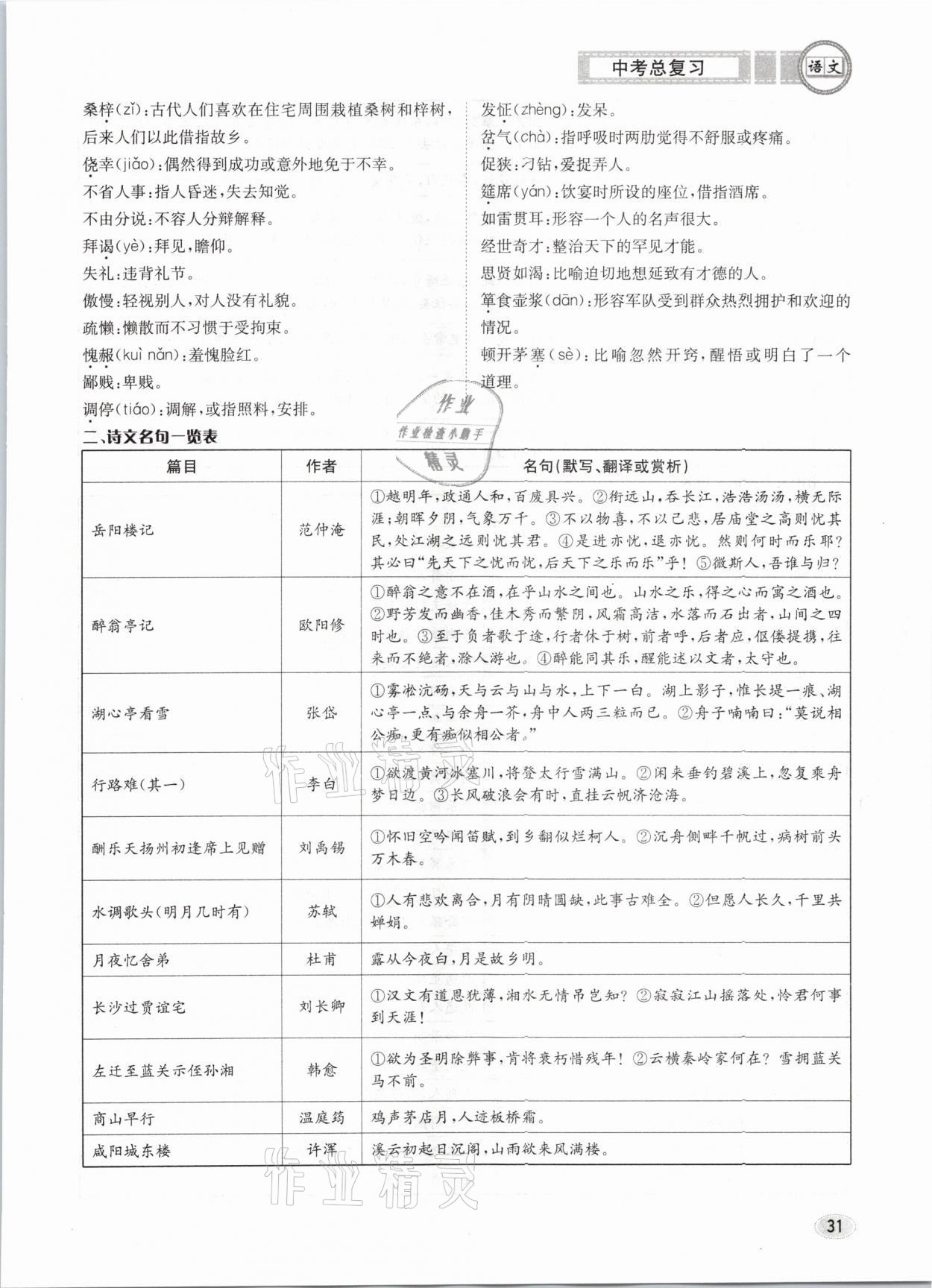 2021年中考總復(fù)習(xí)語(yǔ)文長(zhǎng)江出版社 參考答案第31頁(yè)