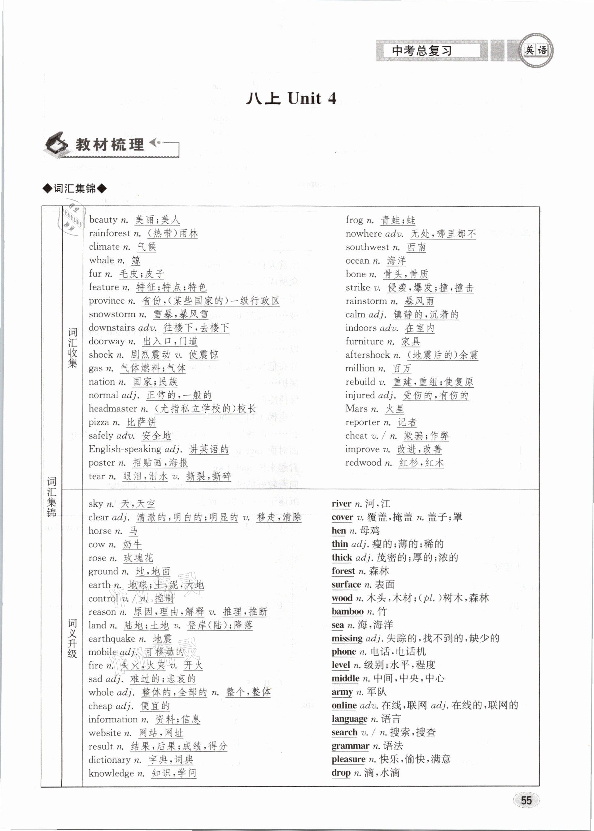 2021年中考總復習英語長江出版社 參考答案第55頁