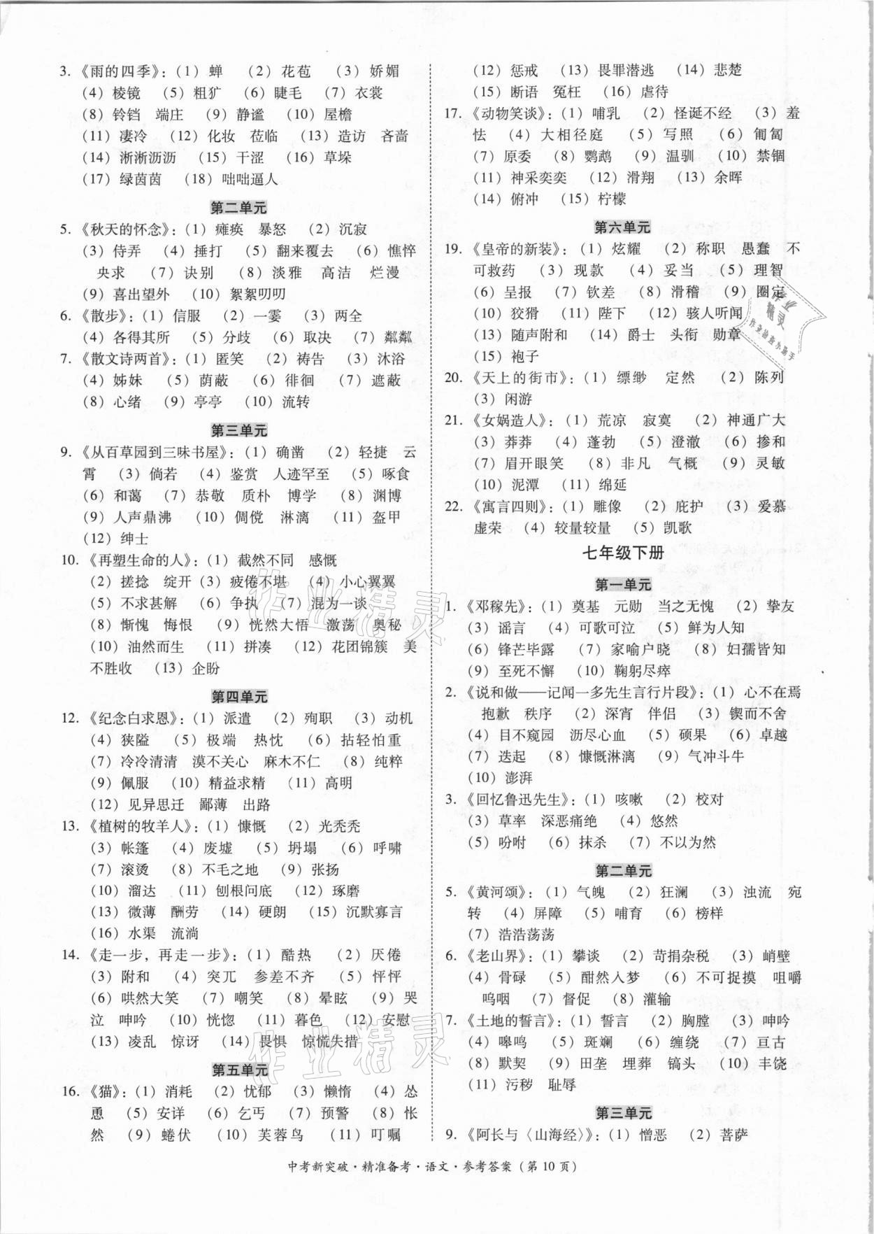 2021年中考新突破精準(zhǔn)備考語文 第10頁