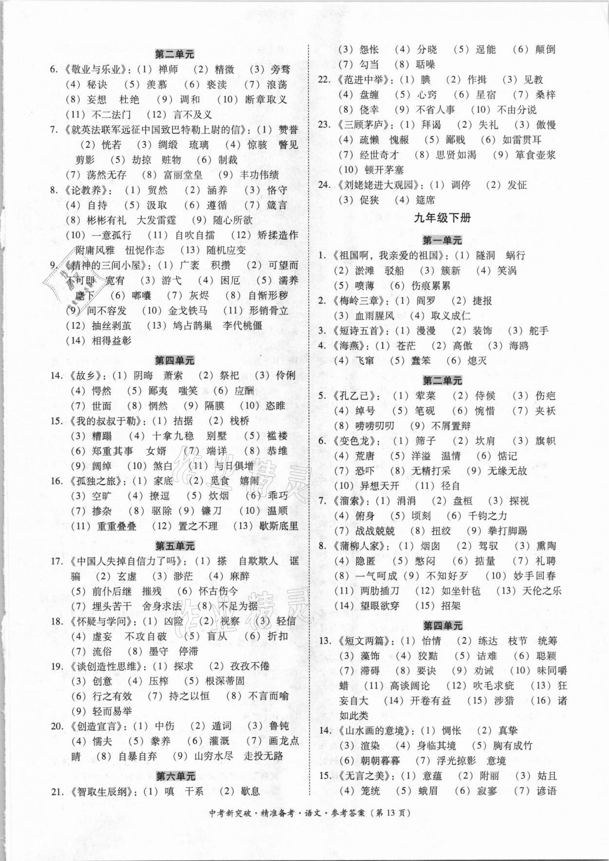 2021年中考新突破精準(zhǔn)備考語文 第13頁