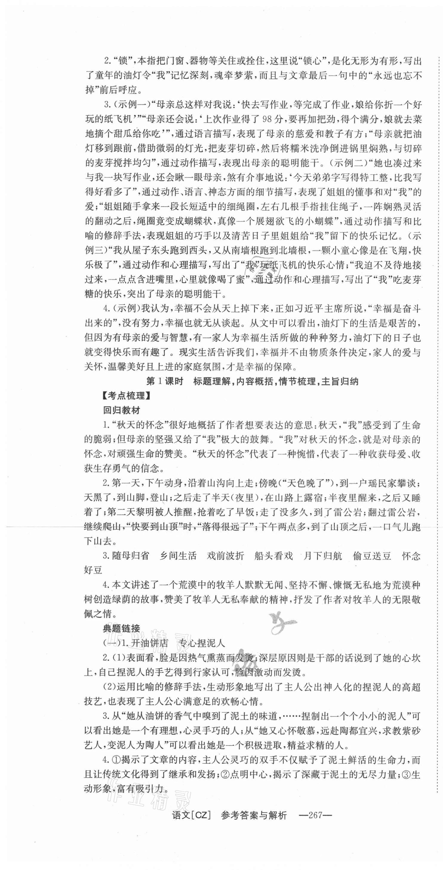 2021年全效学习中考学练测语文郴州专版 第13页