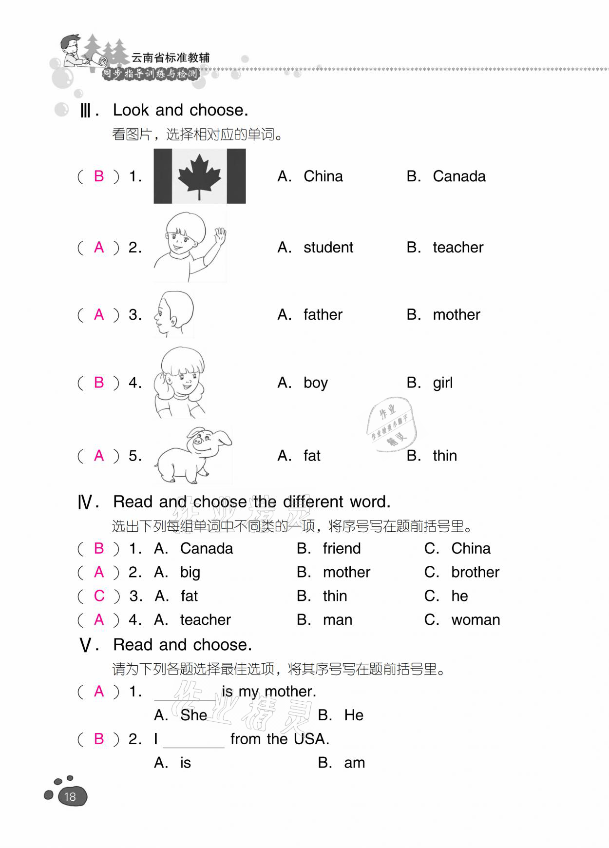 2021年云南省标准教辅同步指导训练与检测三年级英语下册人教PEP版 参考答案第17页