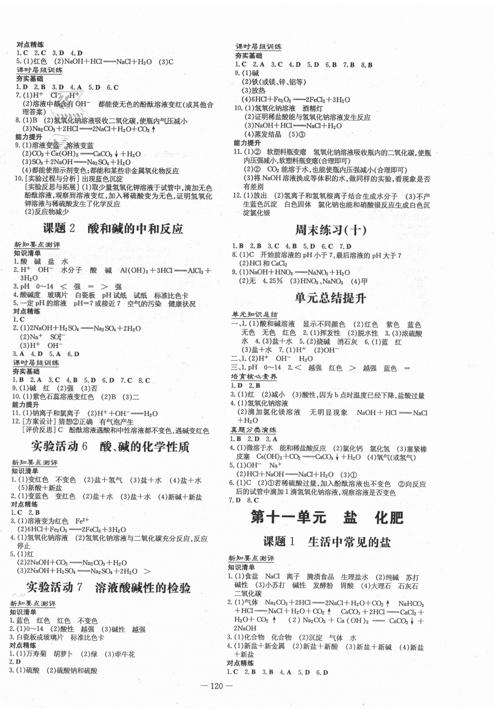 2021年練案課時作業(yè)本九年級化學(xué)下冊人教版 第4頁