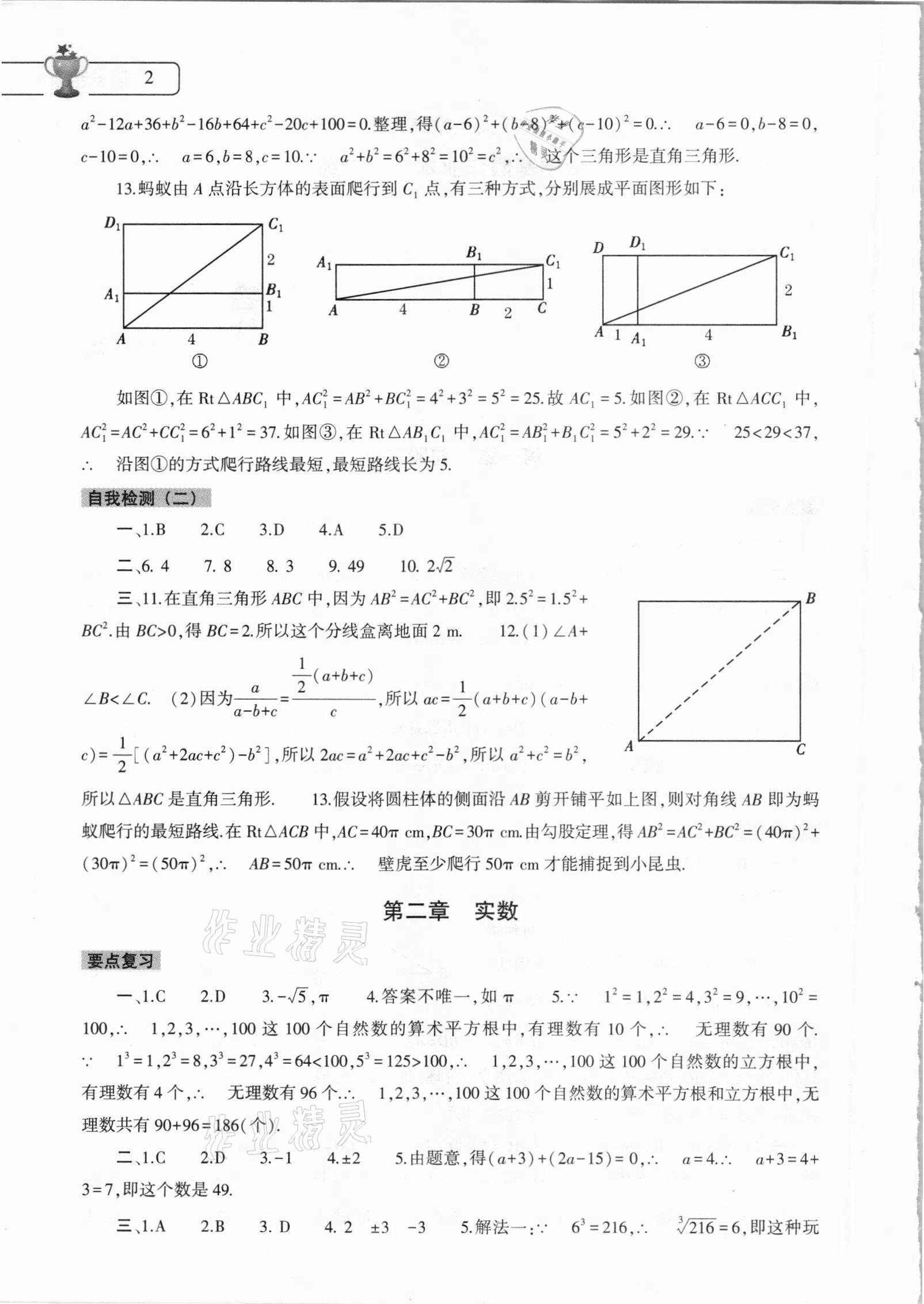 2021年寒假作業(yè)本八年級數(shù)學(xué)北師大版大象出版社 參考答案第2頁