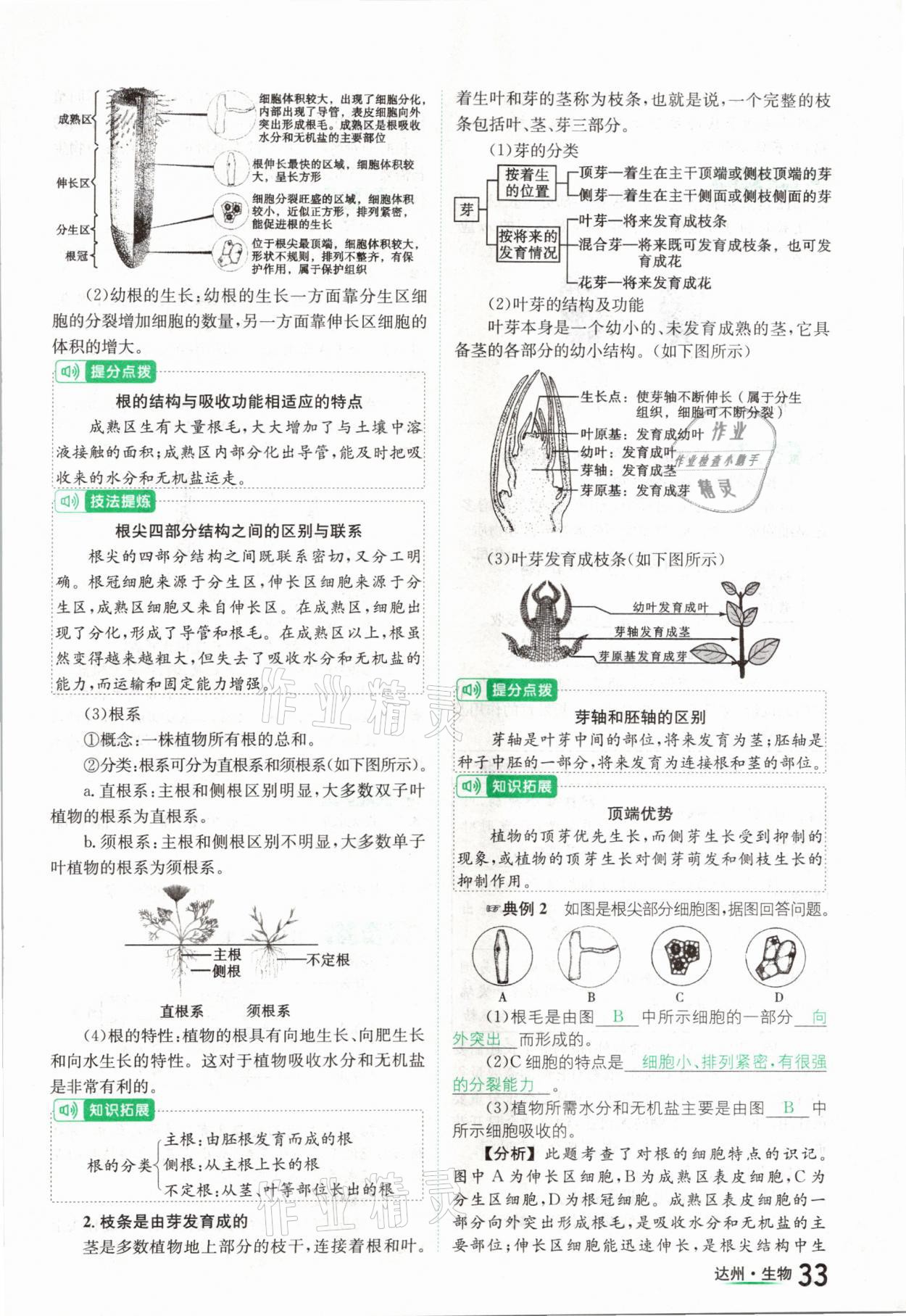 2021年國華考試中考總動員生物達州專版 參考答案第33頁