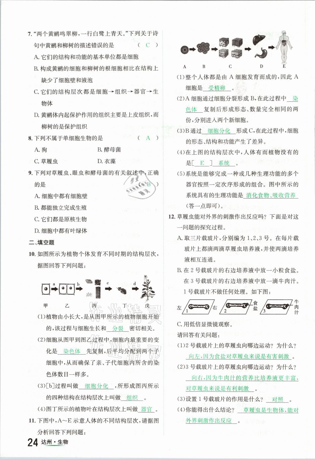 2021年國(guó)華考試中考總動(dòng)員生物達(dá)州專(zhuān)版 參考答案第24頁(yè)