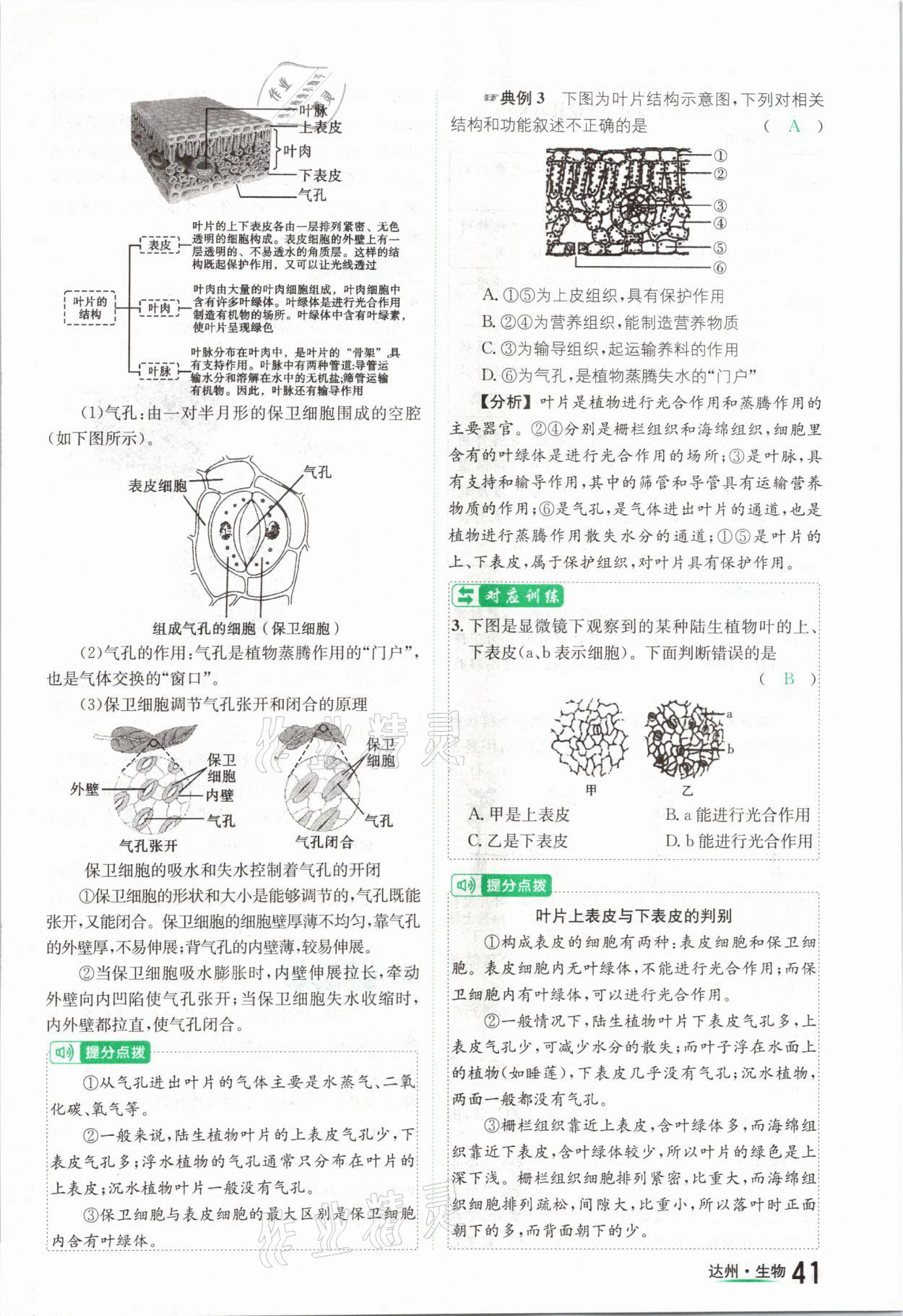 2021年國華考試中考總動員生物達州專版 參考答案第41頁