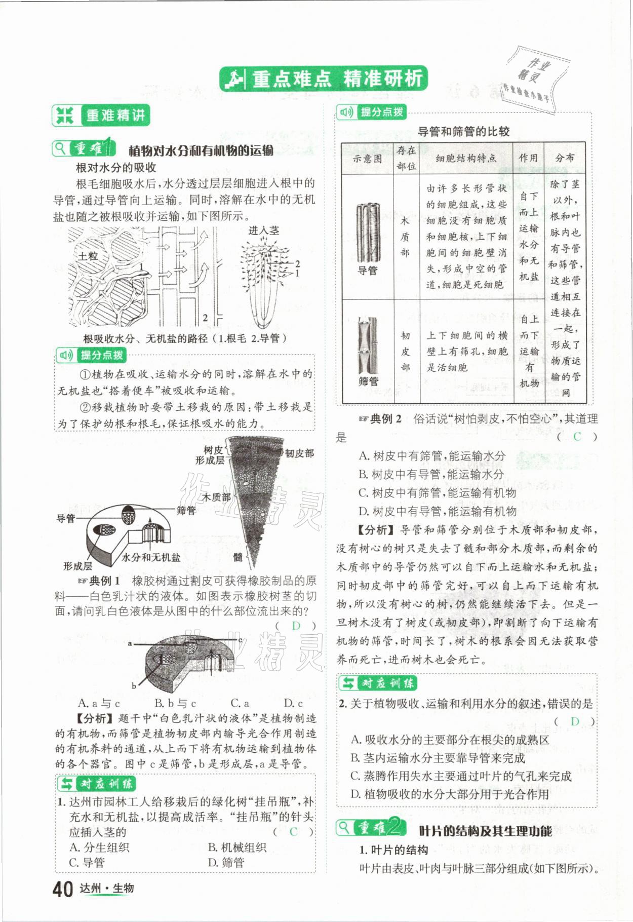 2021年國華考試中考總動員生物達(dá)州專版 參考答案第40頁