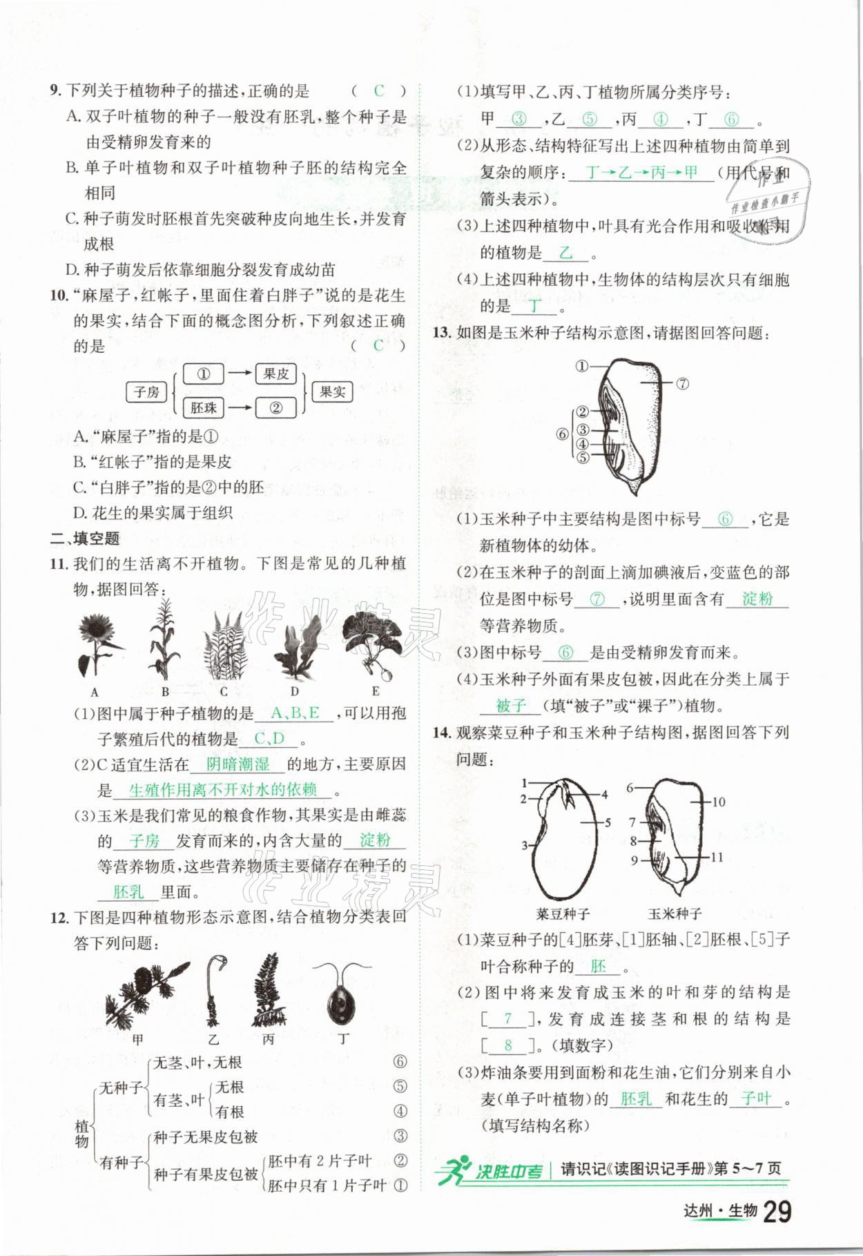 2021年國華考試中考總動員生物達州專版 參考答案第29頁