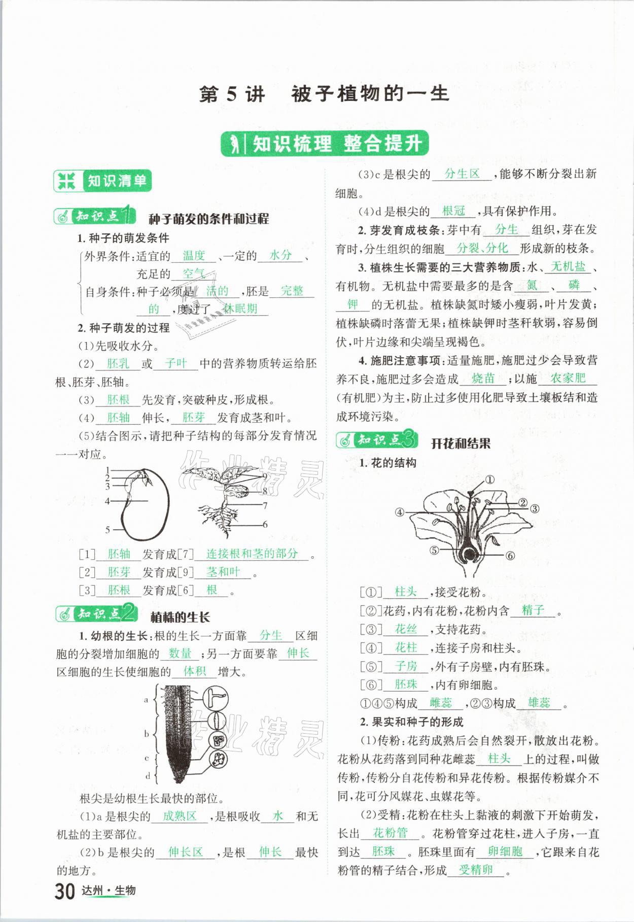 2021年國華考試中考總動員生物達(dá)州專版 參考答案第30頁