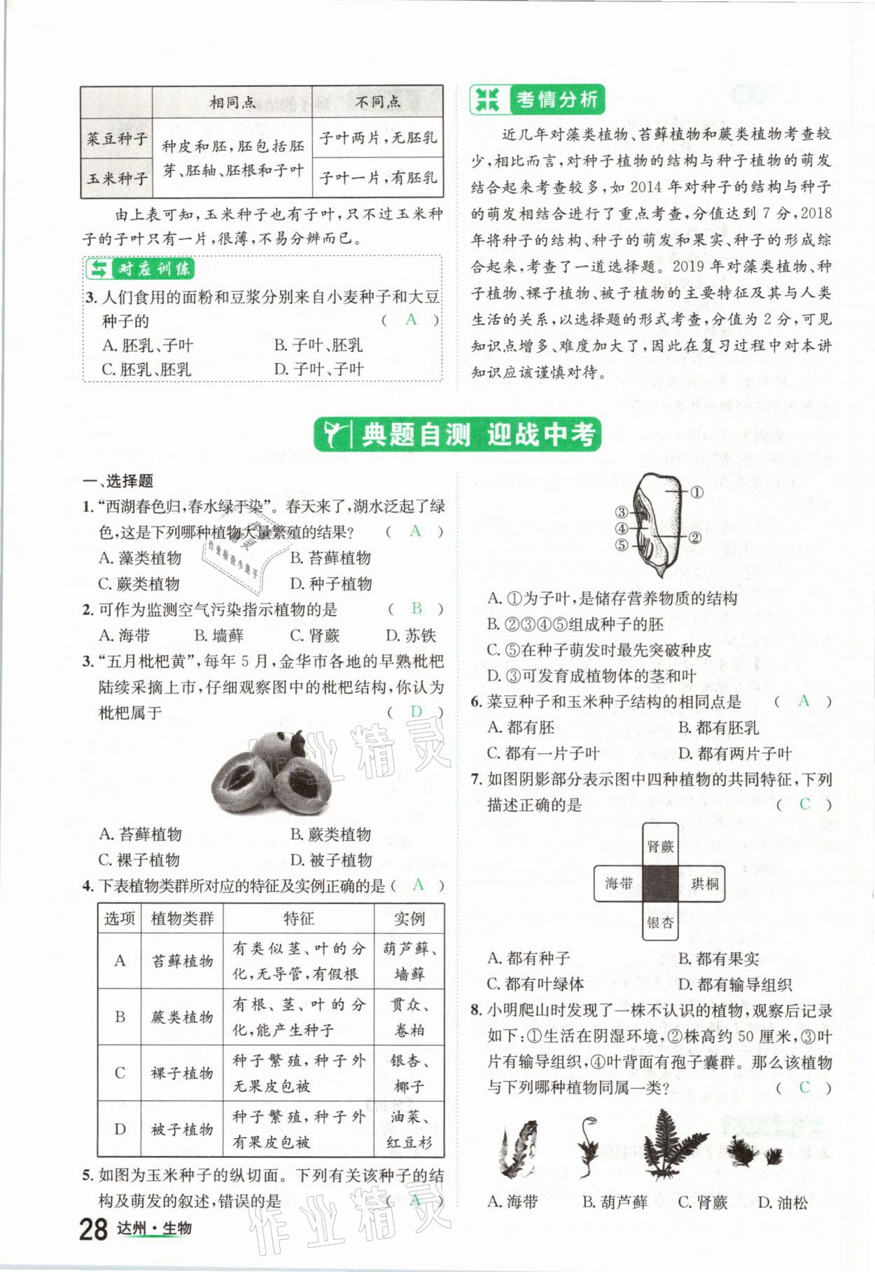 2021年國(guó)華考試中考總動(dòng)員生物達(dá)州專版 參考答案第28頁(yè)