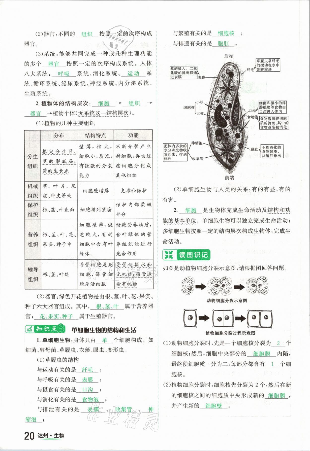 2021年國華考試中考總動員生物達州專版 參考答案第20頁