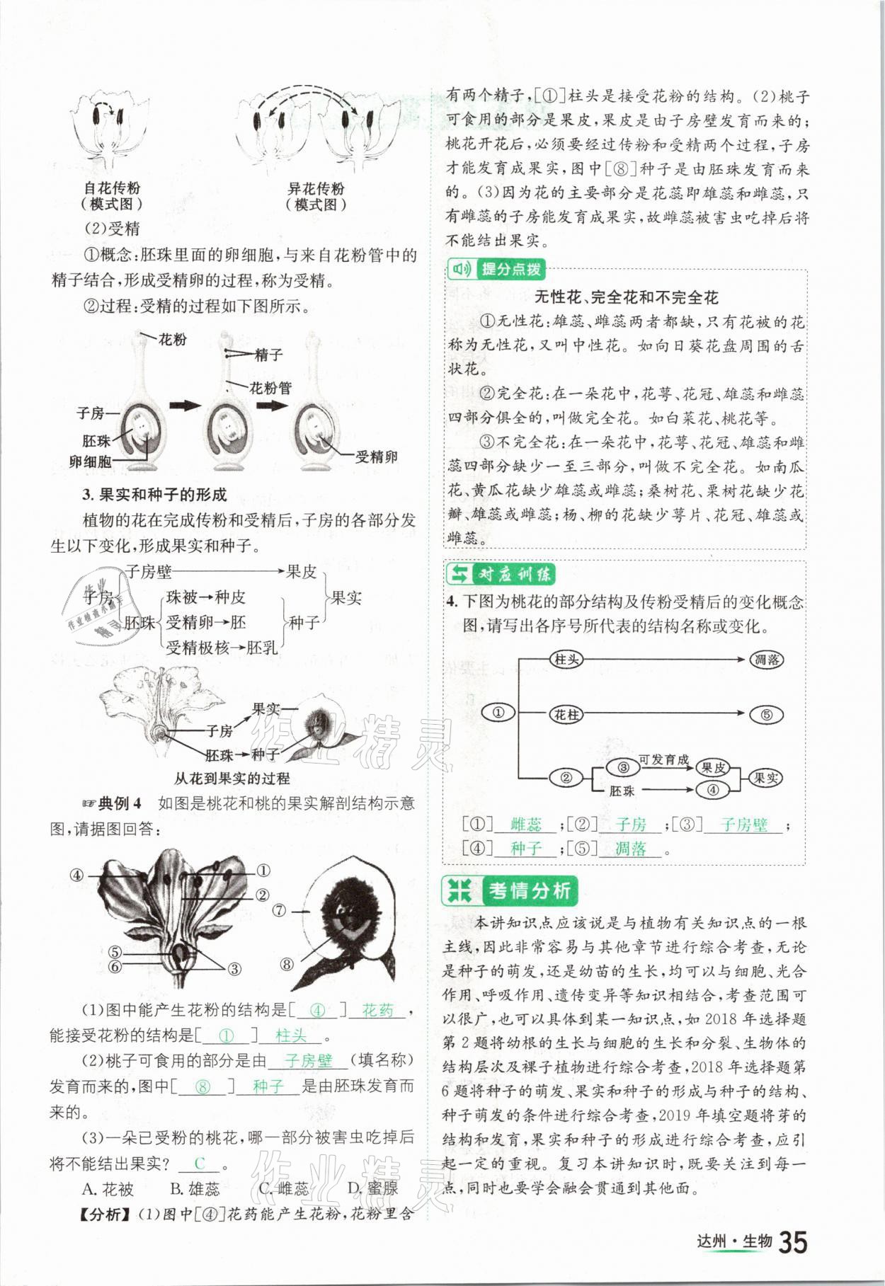 2021年國華考試中考總動員生物達州專版 參考答案第35頁