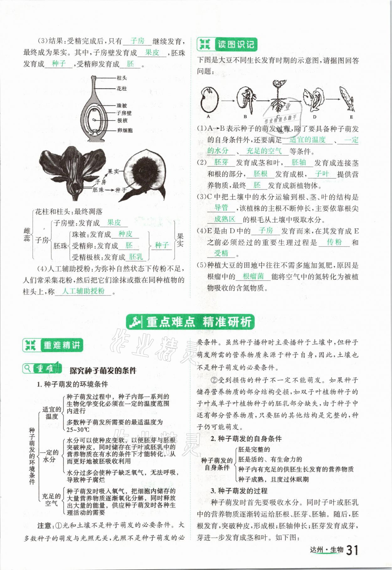 2021年國(guó)華考試中考總動(dòng)員生物達(dá)州專版 參考答案第31頁(yè)