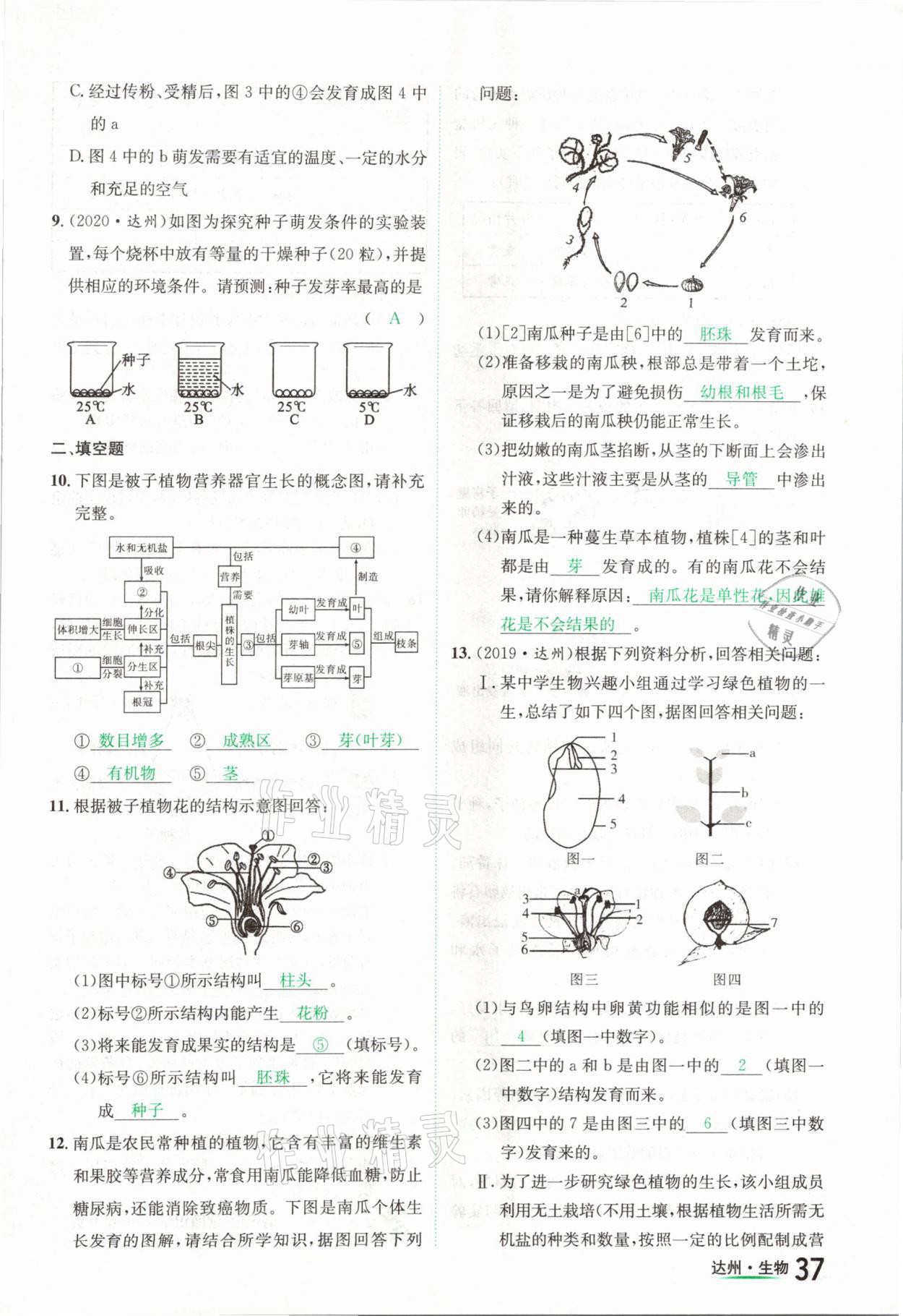 2021年國華考試中考總動員生物達州專版 參考答案第37頁