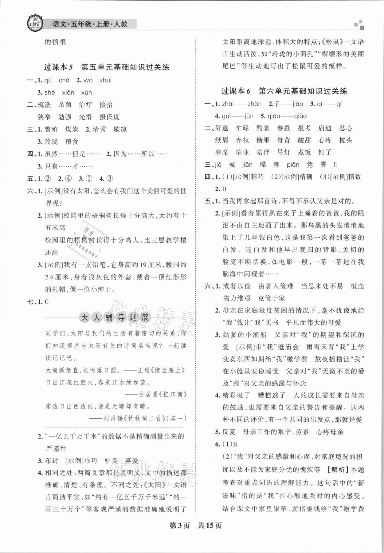 2020年王朝霞雁塔新題期末試卷研究五年級(jí)語(yǔ)文上冊(cè)人教版西安專版 參考答案第3頁(yè)