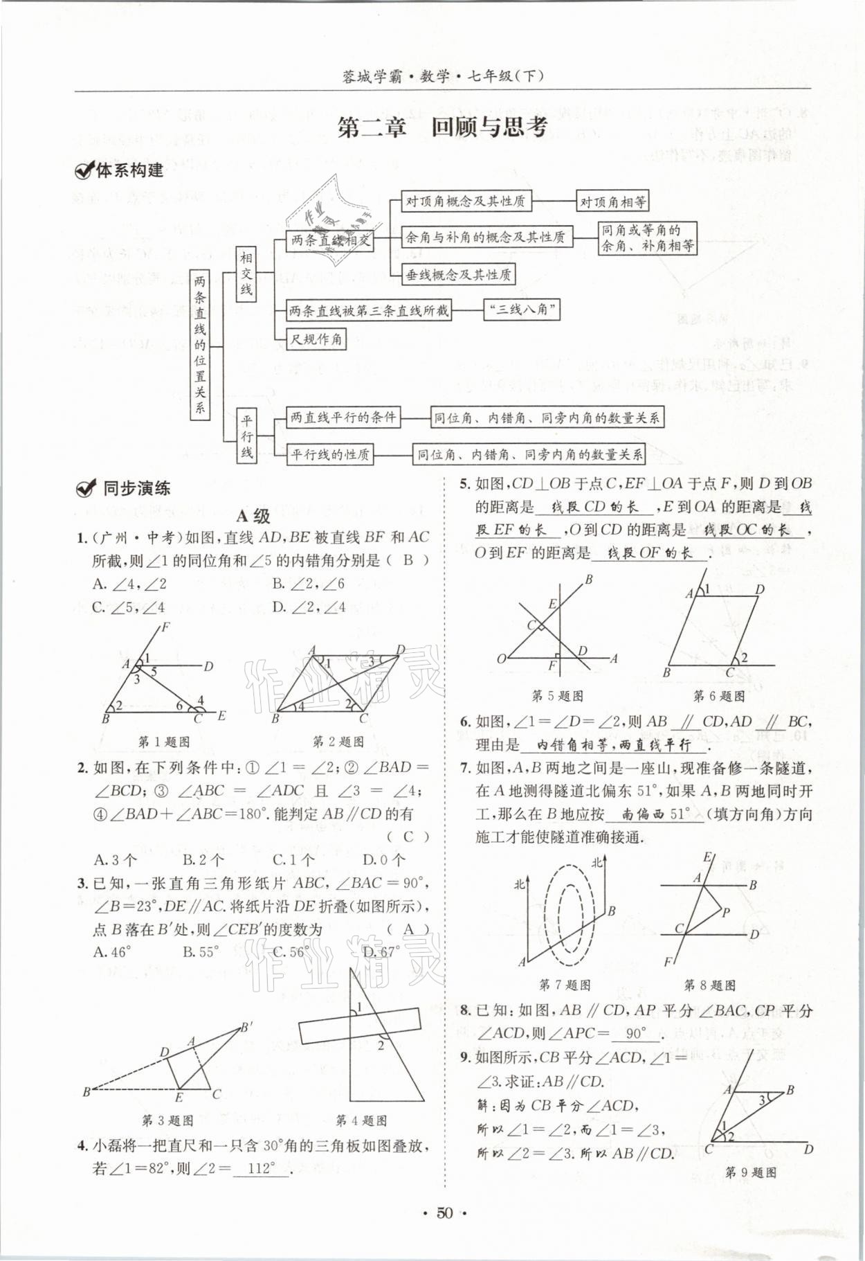 2021年蓉城學霸七年級數學下冊北師大版 第49頁