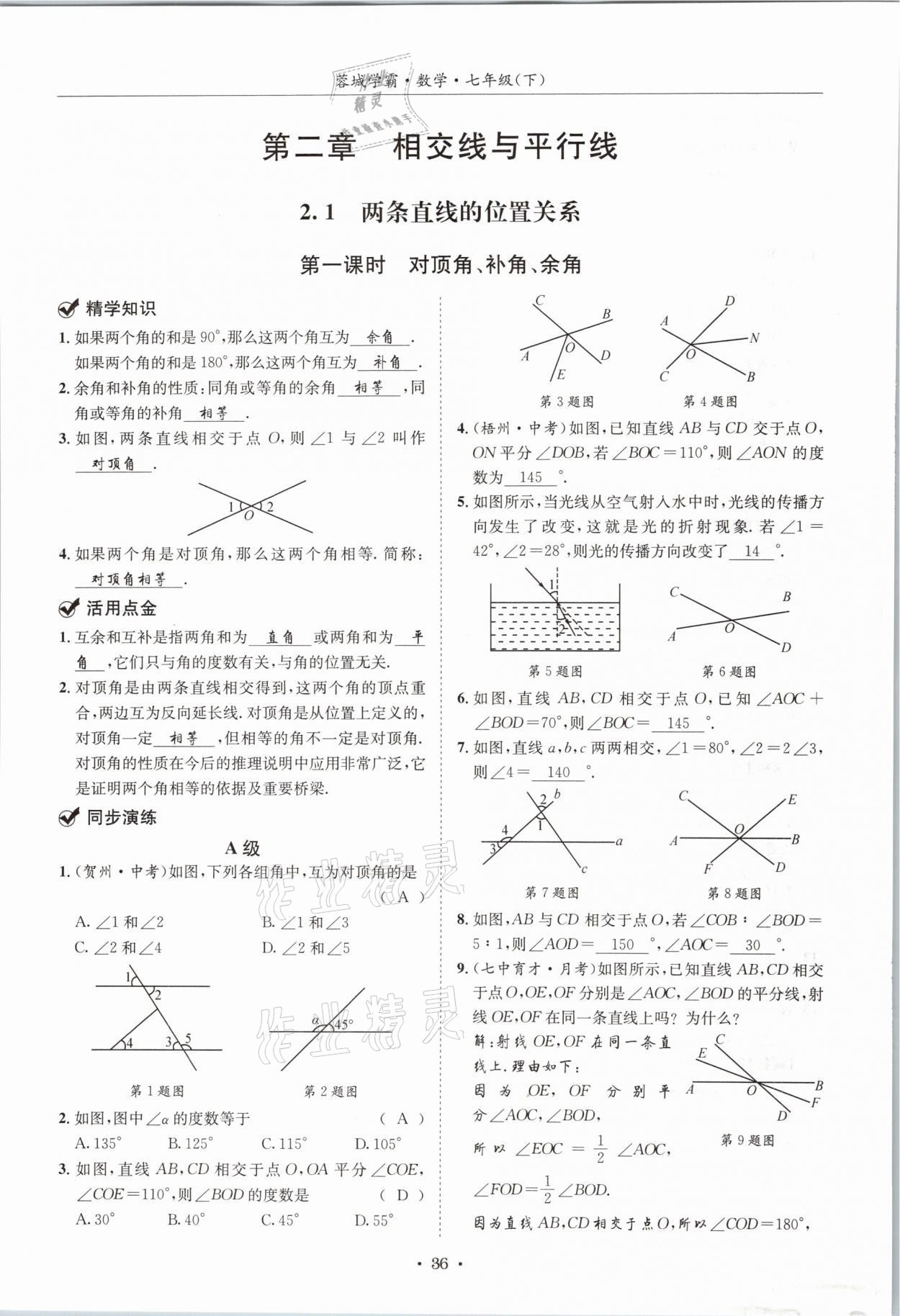 2021年蓉城學(xué)霸七年級數(shù)學(xué)下冊北師大版 第35頁