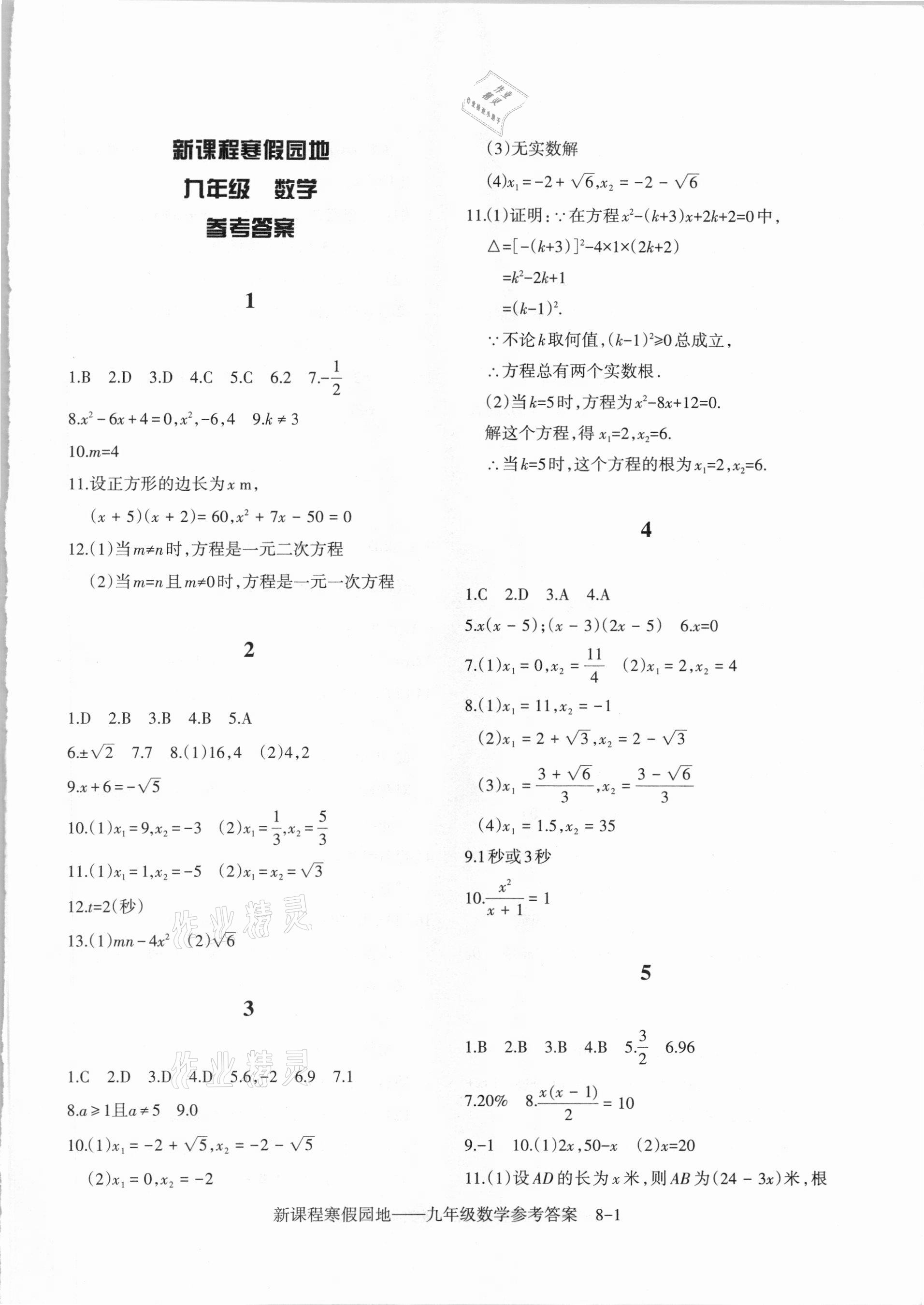 2021年新課程寒假園地九年級數學人教版 第1頁