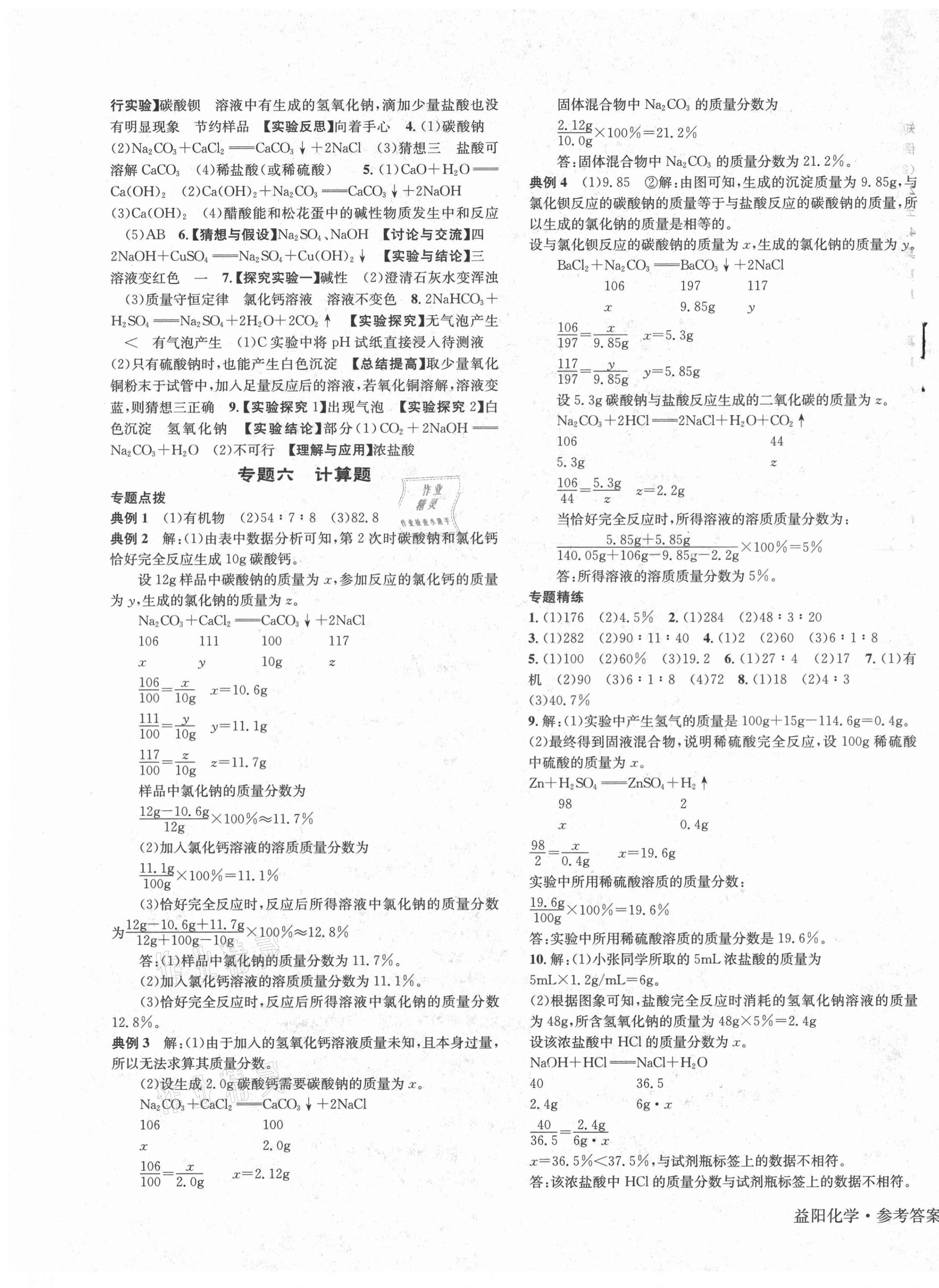 2021年国华考试中考总动员化学益阳专版 第5页