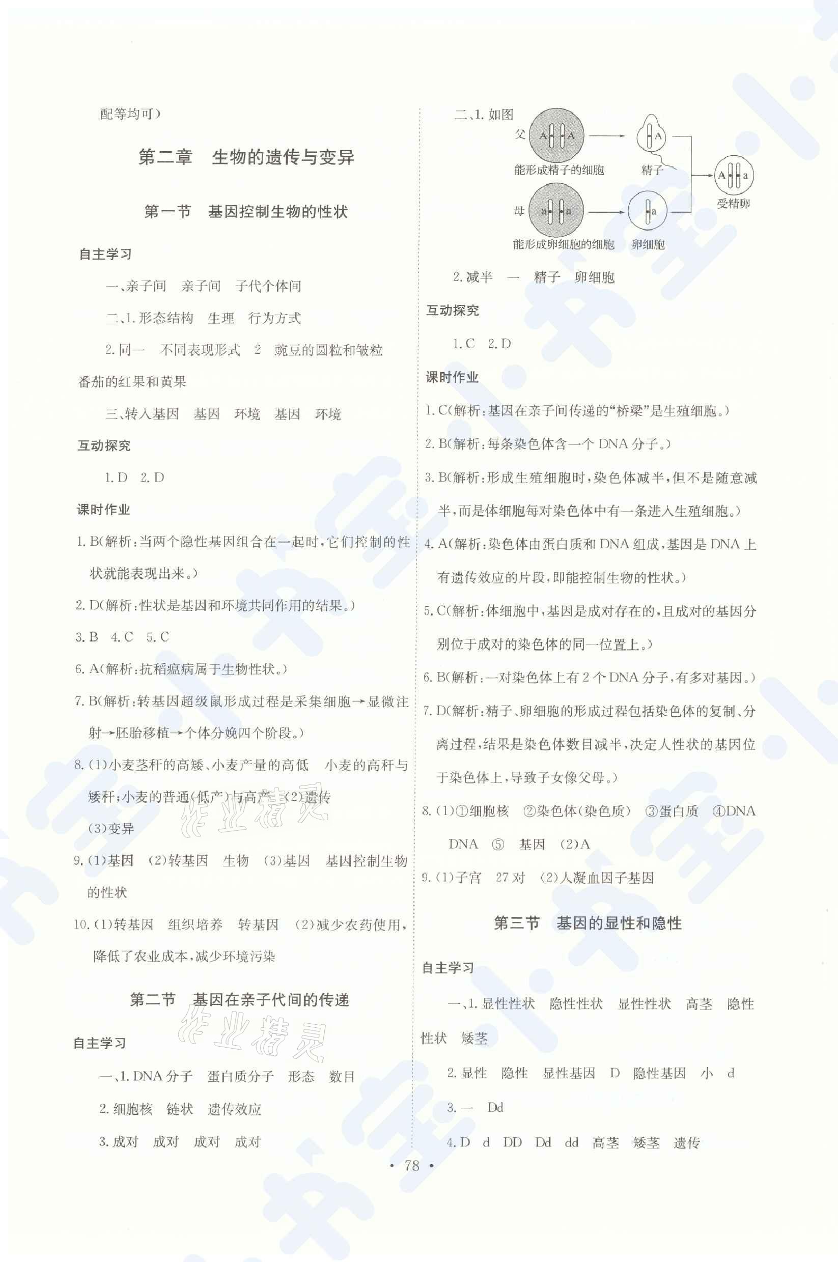 2021年长江全能学案同步练习册八年级生物下册人教版 第4页