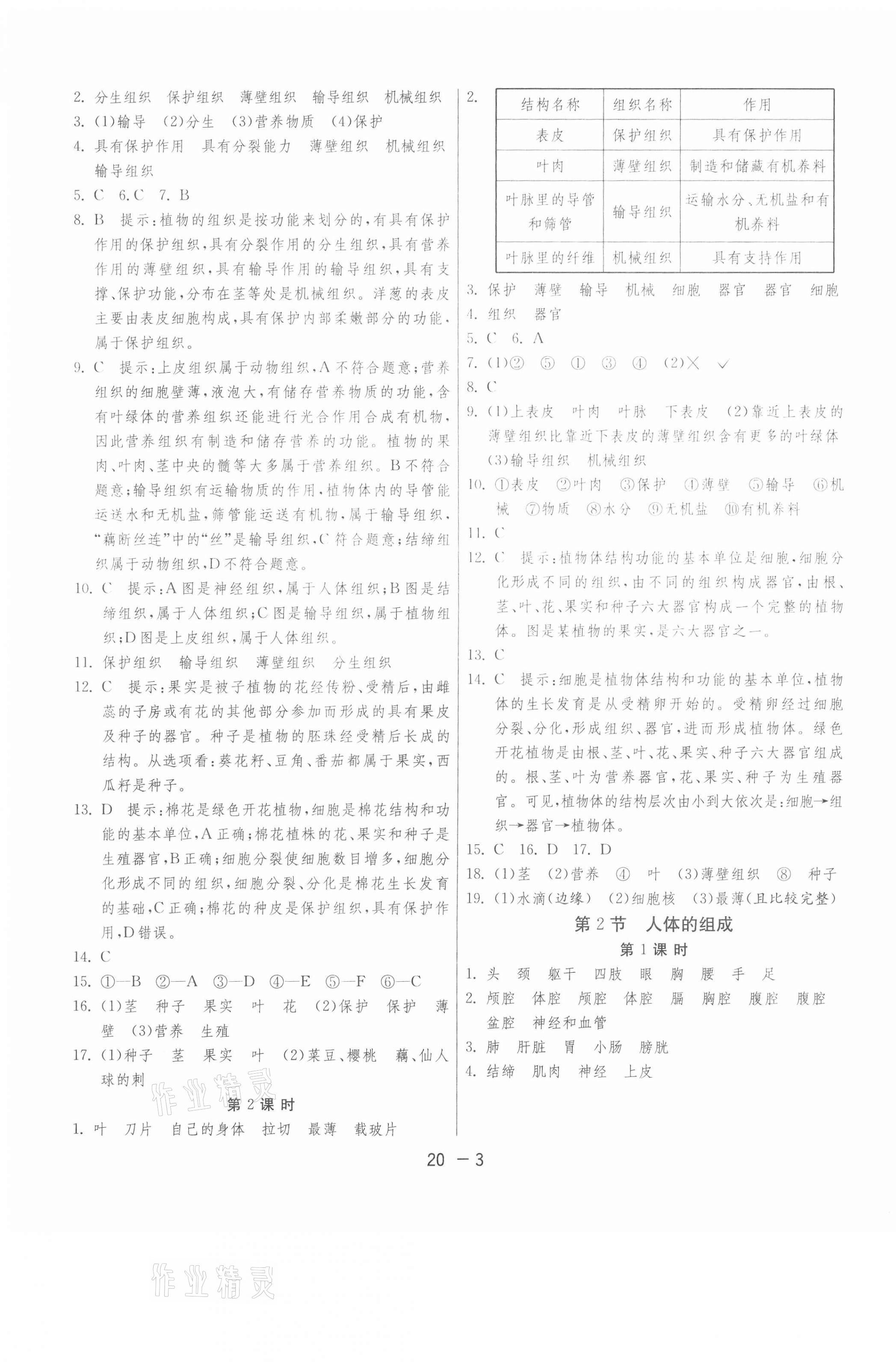 2021年1课3练单元达标测试七年级生物下册苏科版 第3页